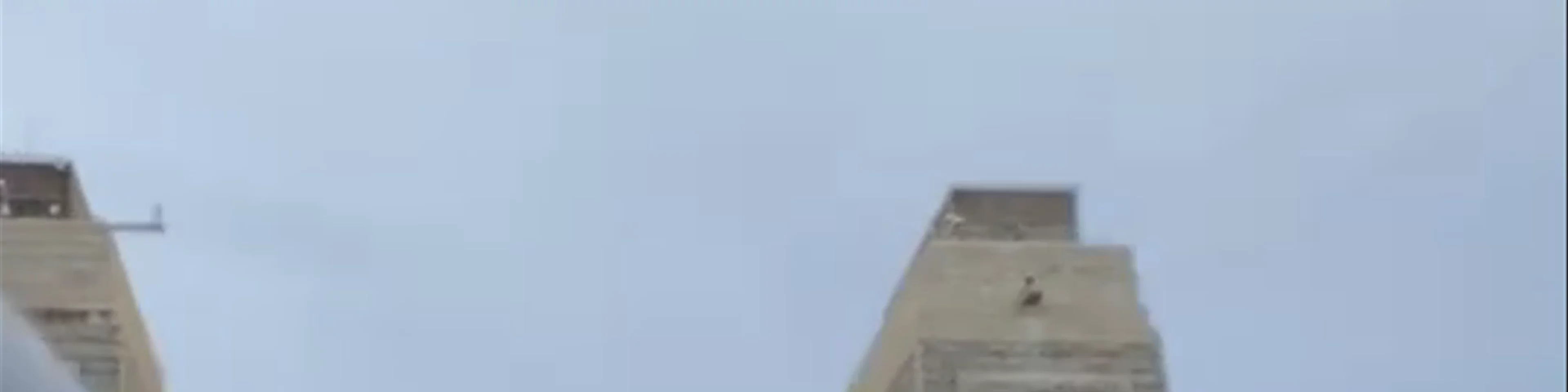 Sydney Harbour Bridge