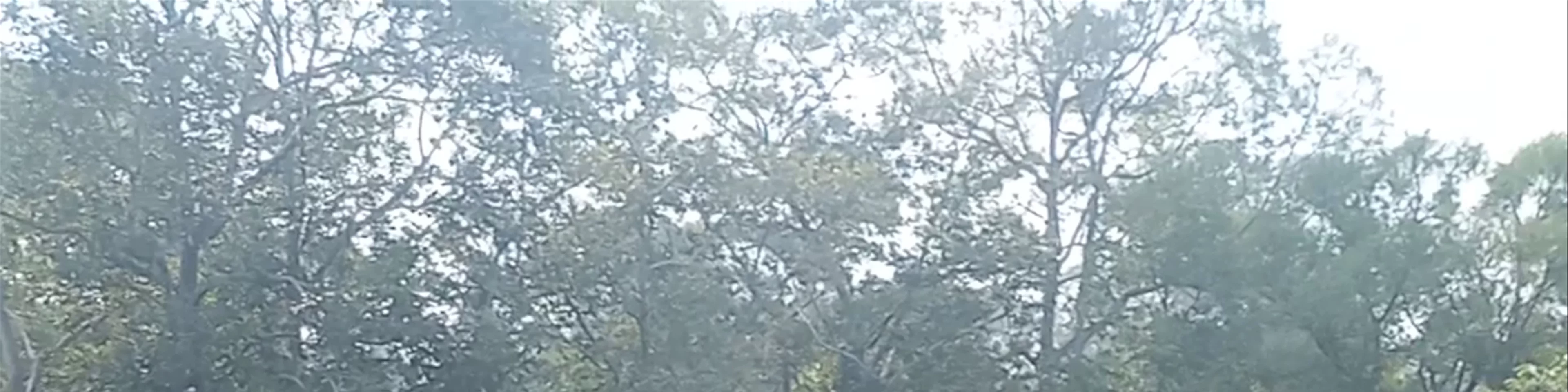 Ta Keo