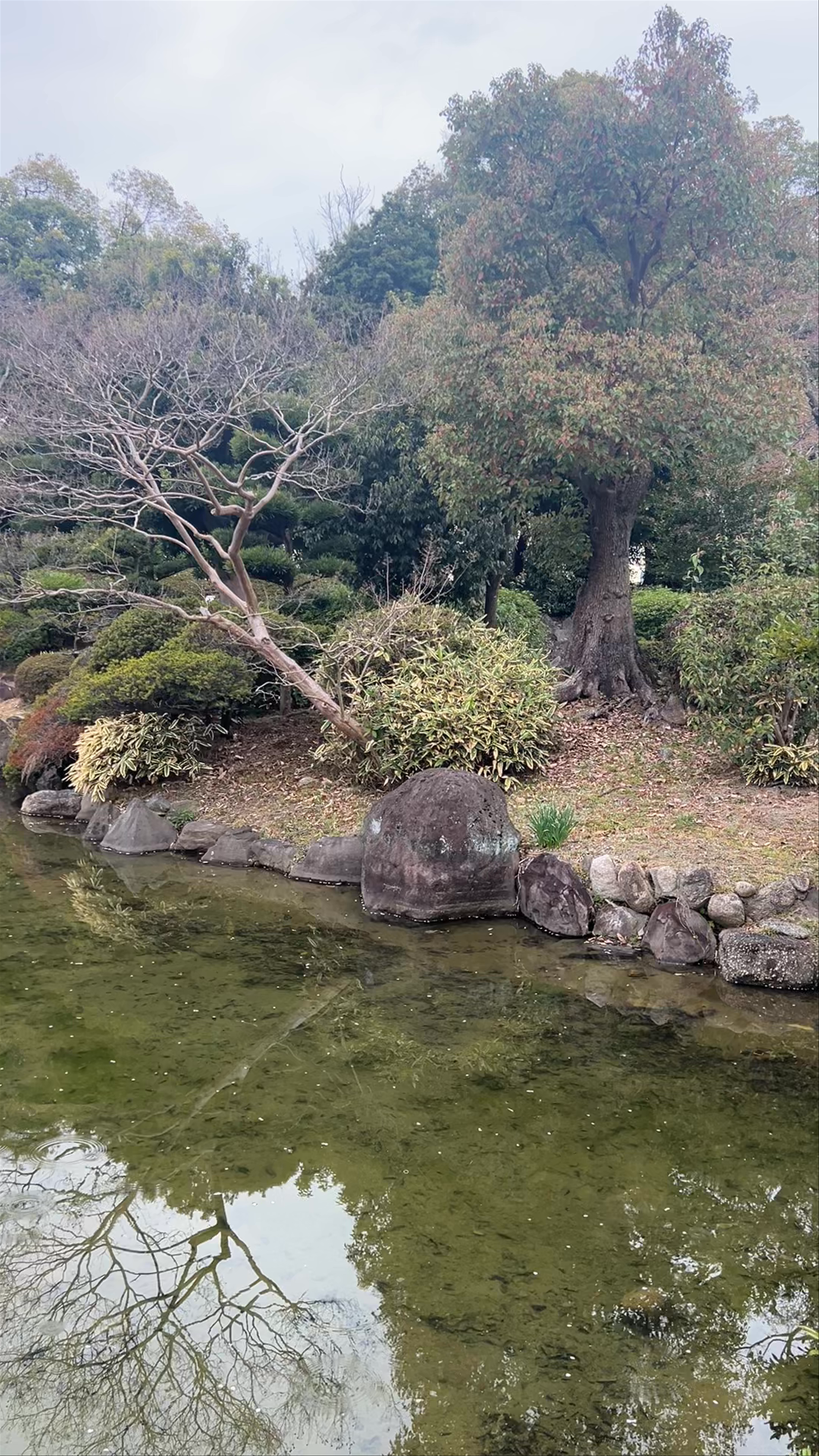 Japanese garden