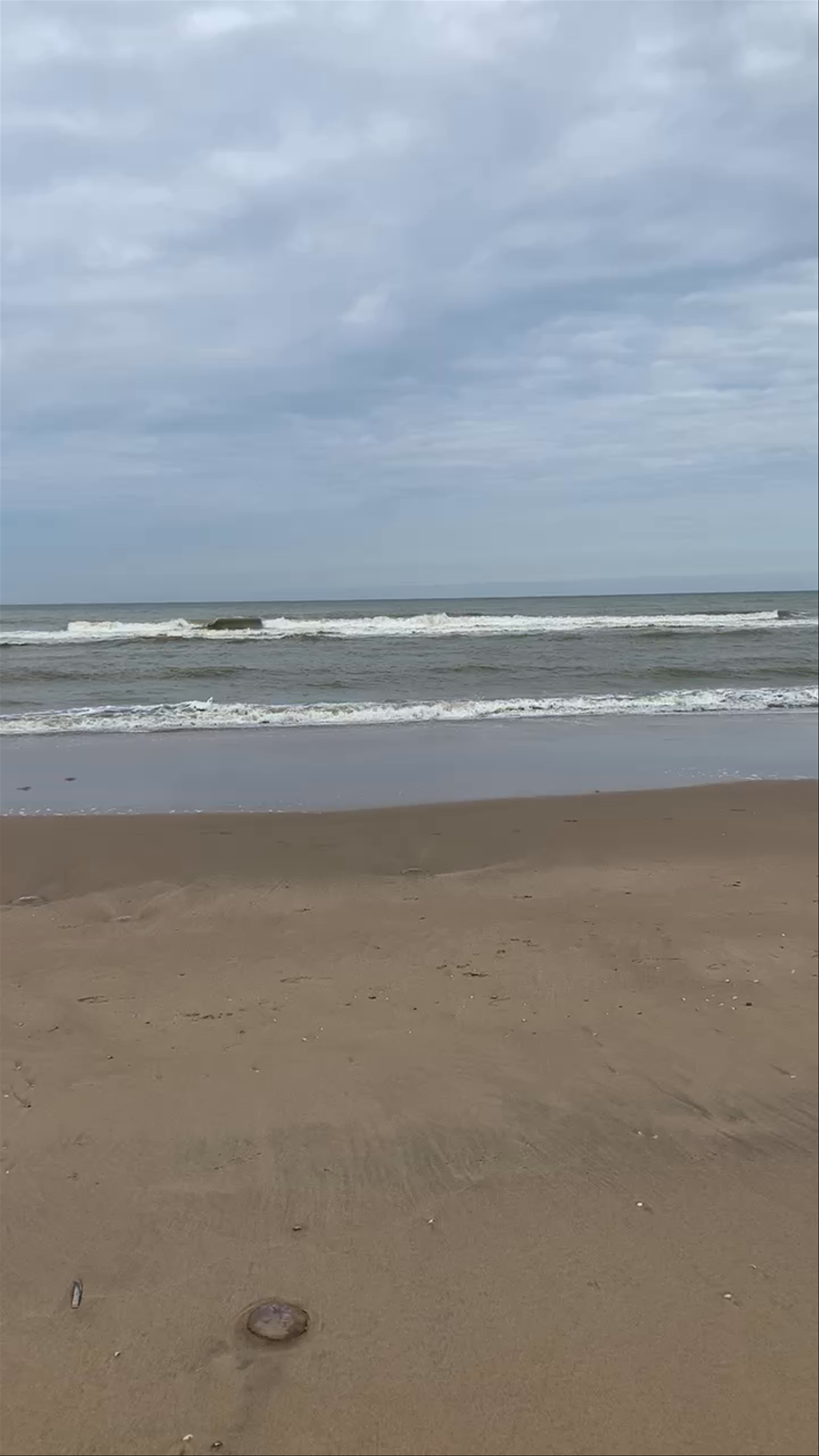 Peaceful Stroll Along Zandvoort Beach, Netherlands
