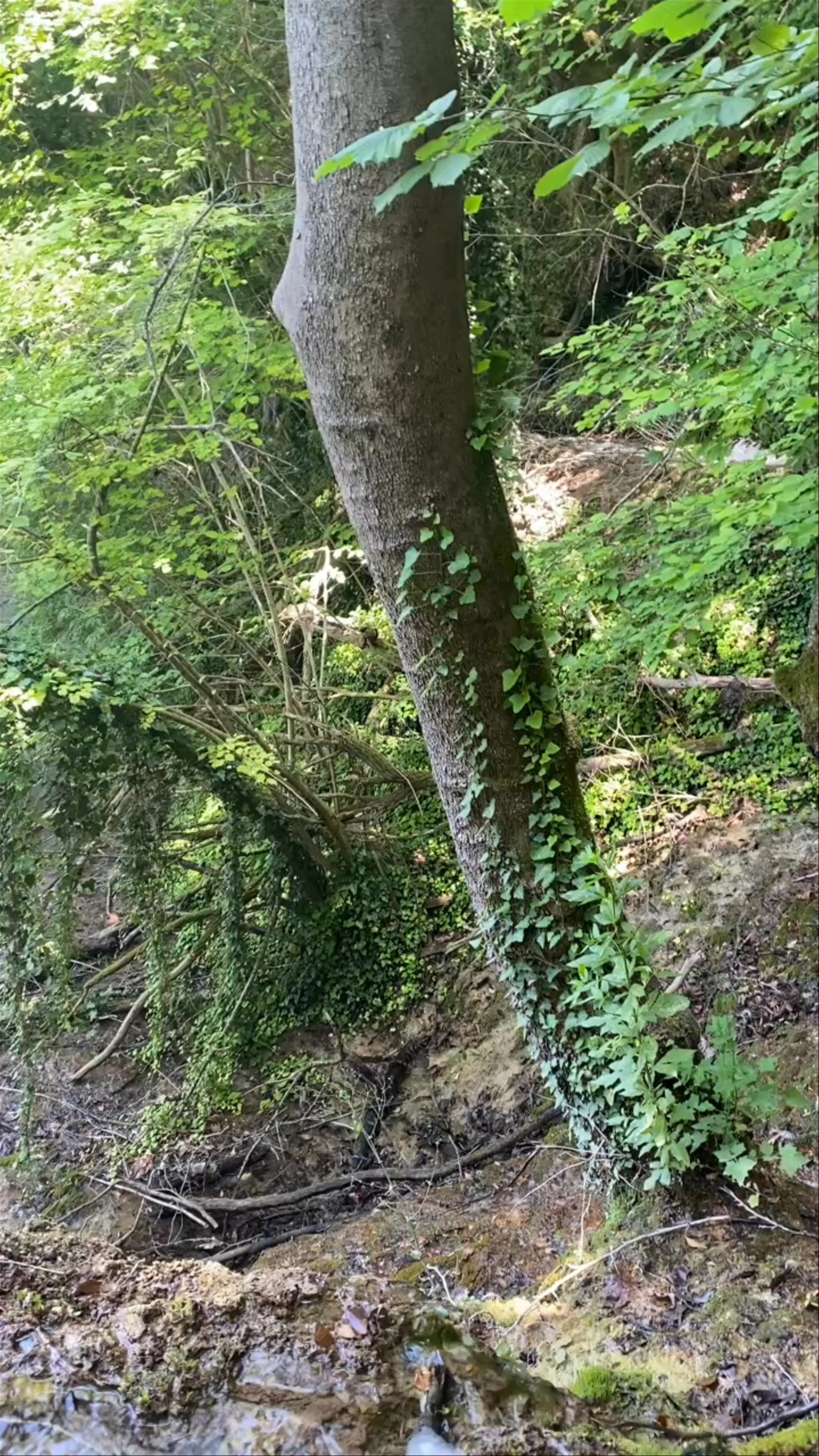 Skra Waterfalls: Serene Natural Oasis in Kilkis, Greece