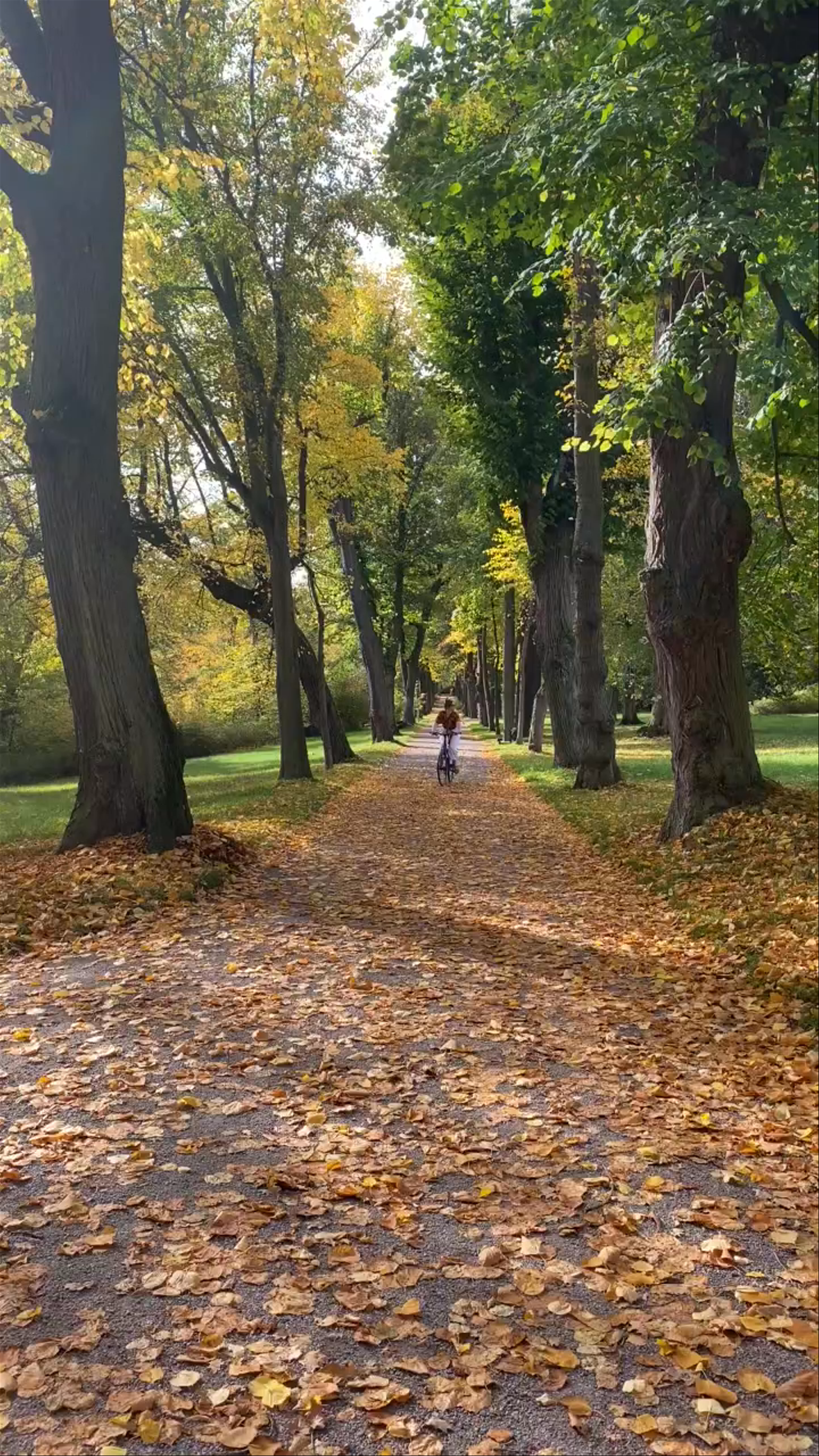 Schlosspark Belvedere