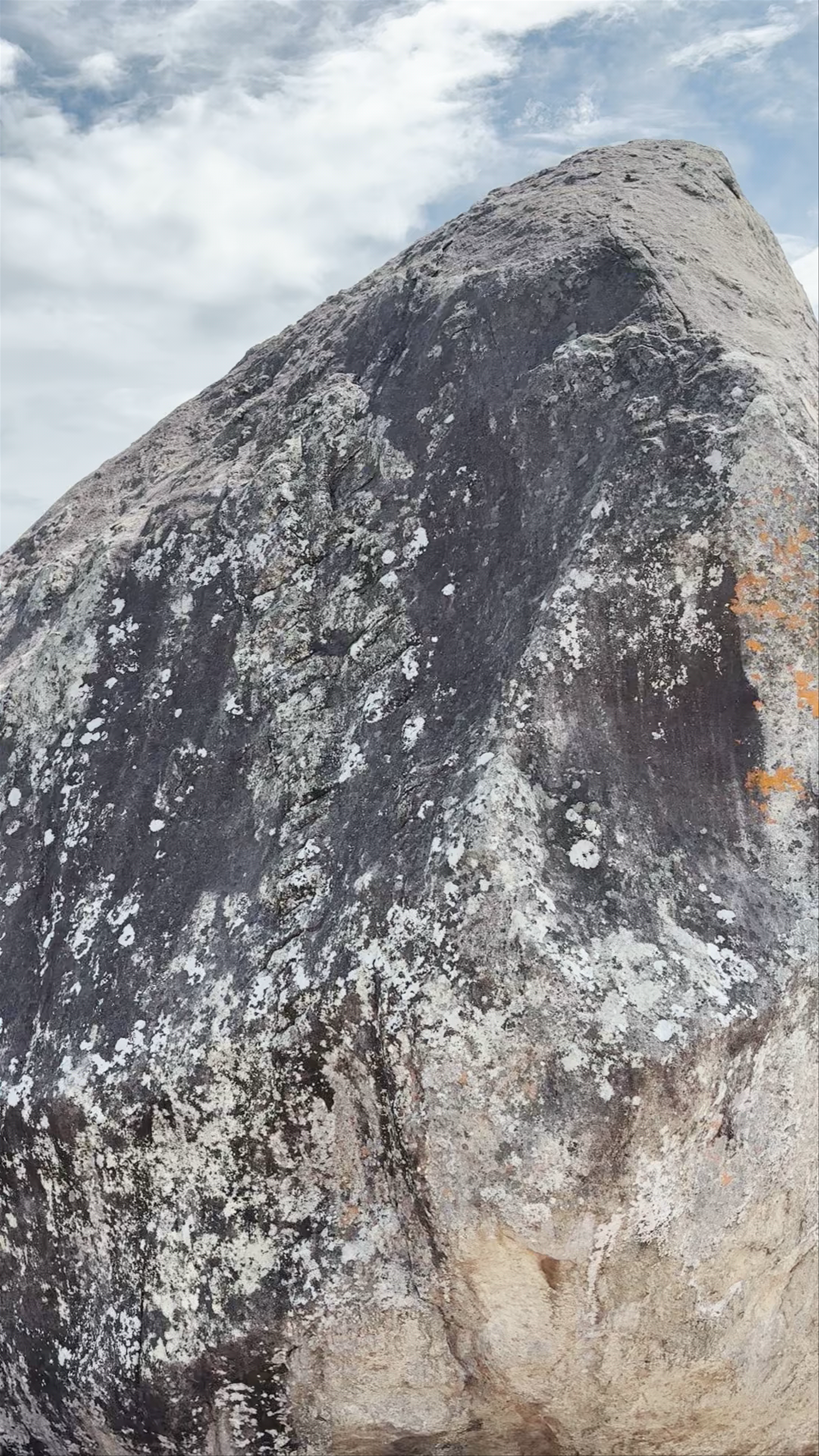 Sigiriya Lion Rock: Majestic Climb and Panoramic Views in Sri Lanka