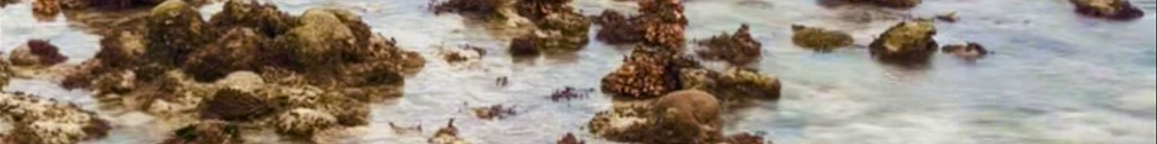 Tours & experiences in Queensland