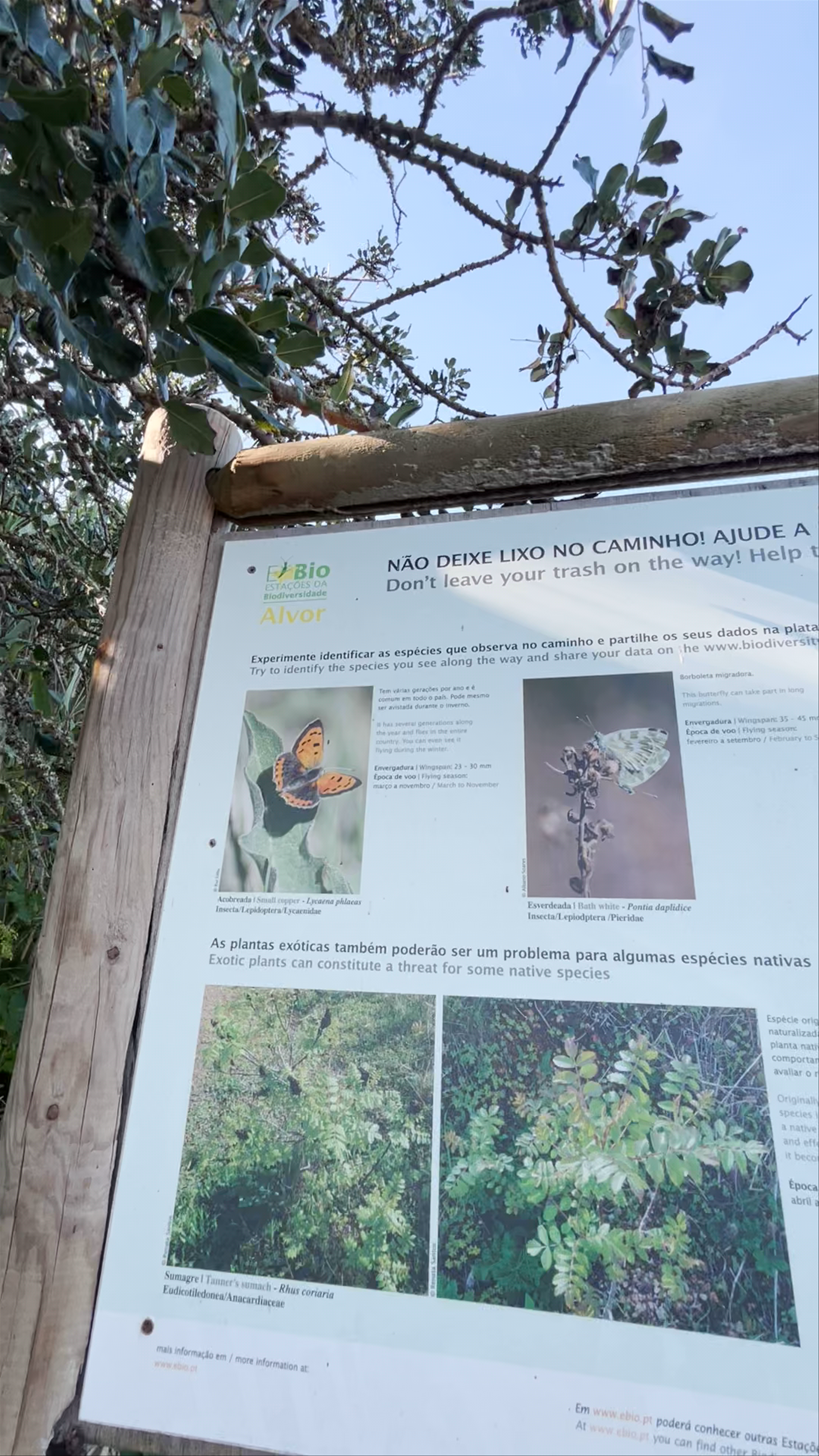 Dique dos Montes de Alvor