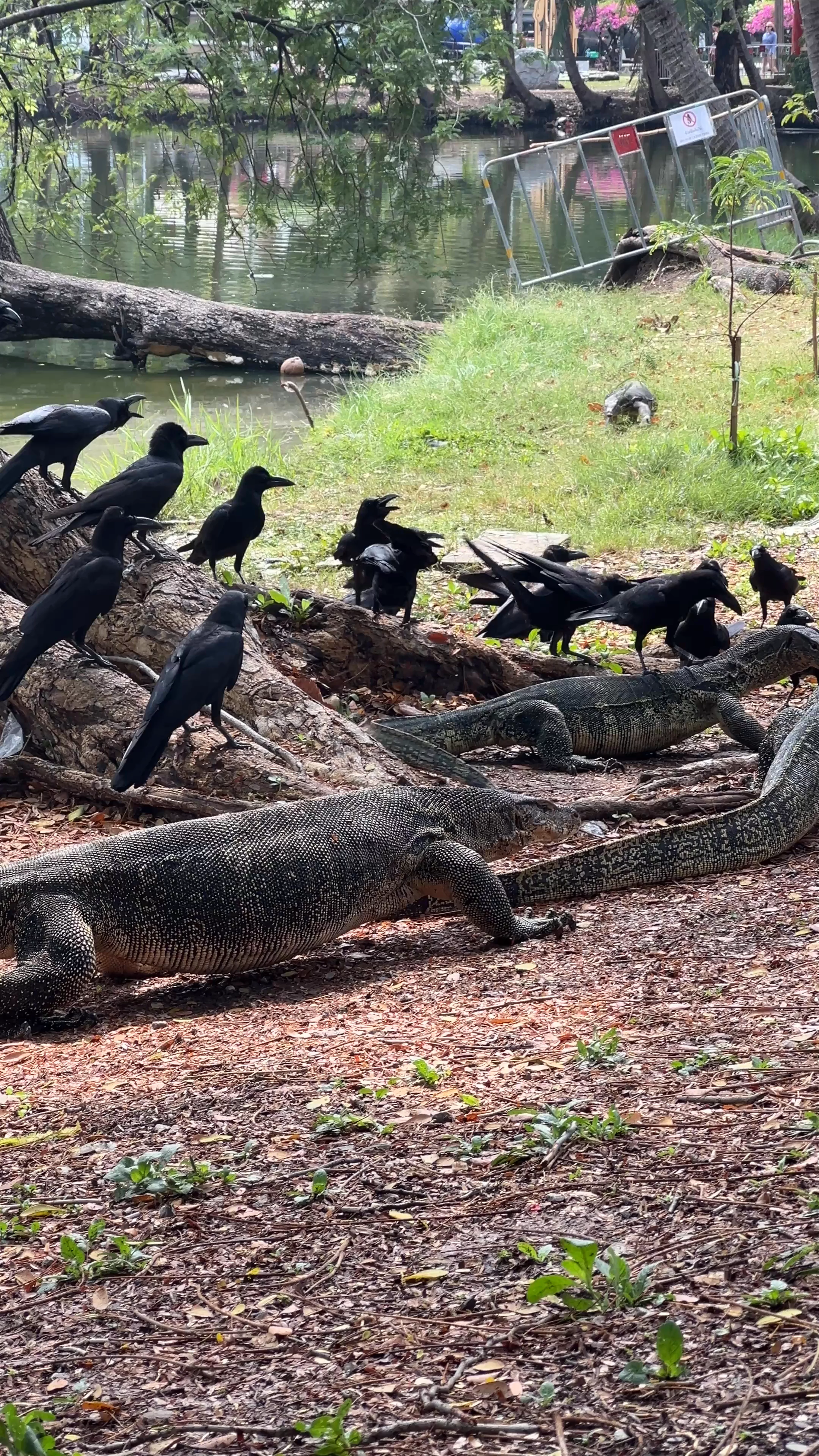 Lumpini Park