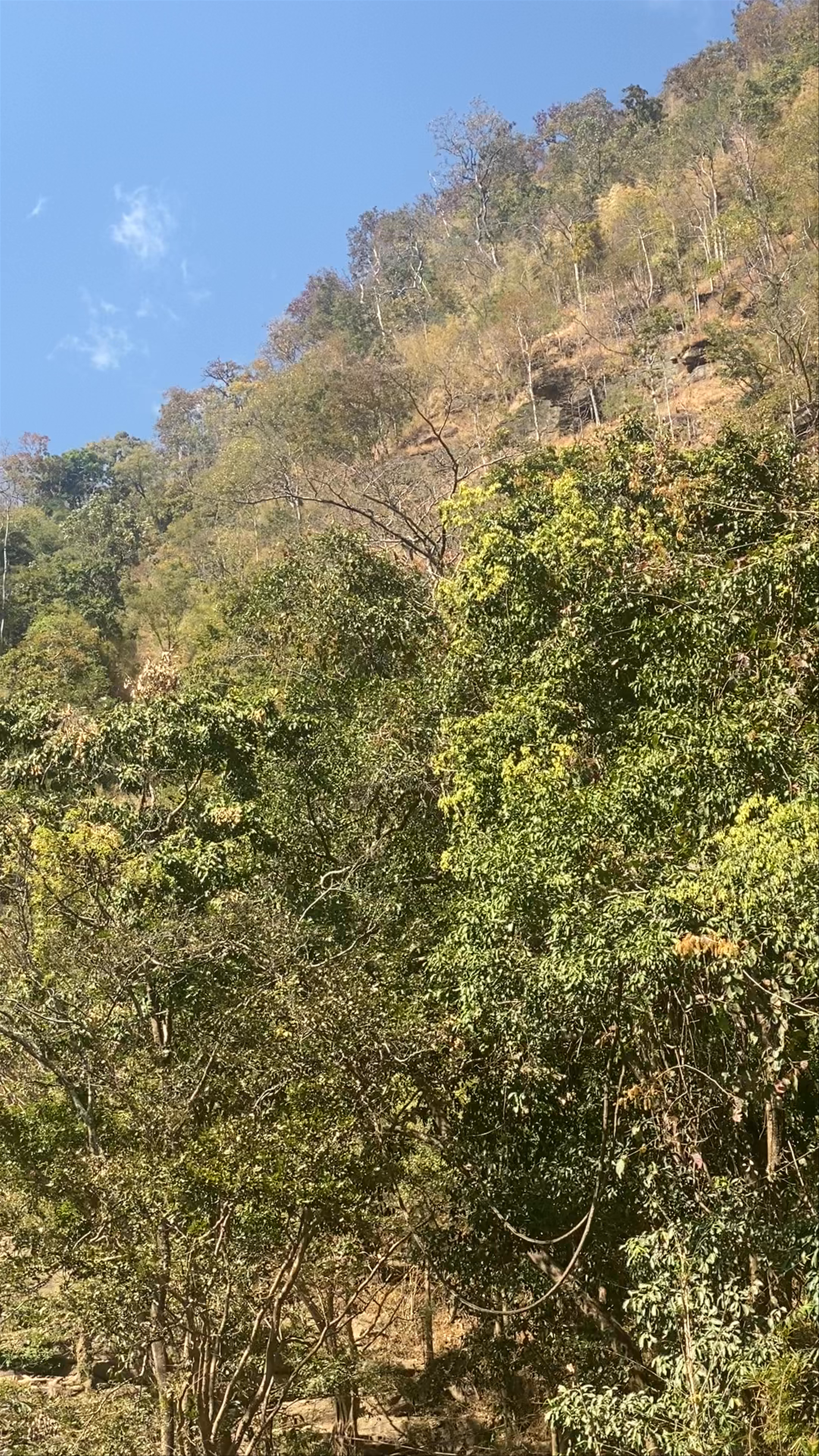 Mae Ya Waterfall