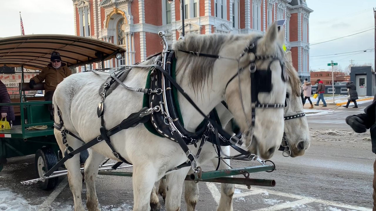 Chocolate Walk - Horses - Local Flavor Near Me - Van Wert, Ohio