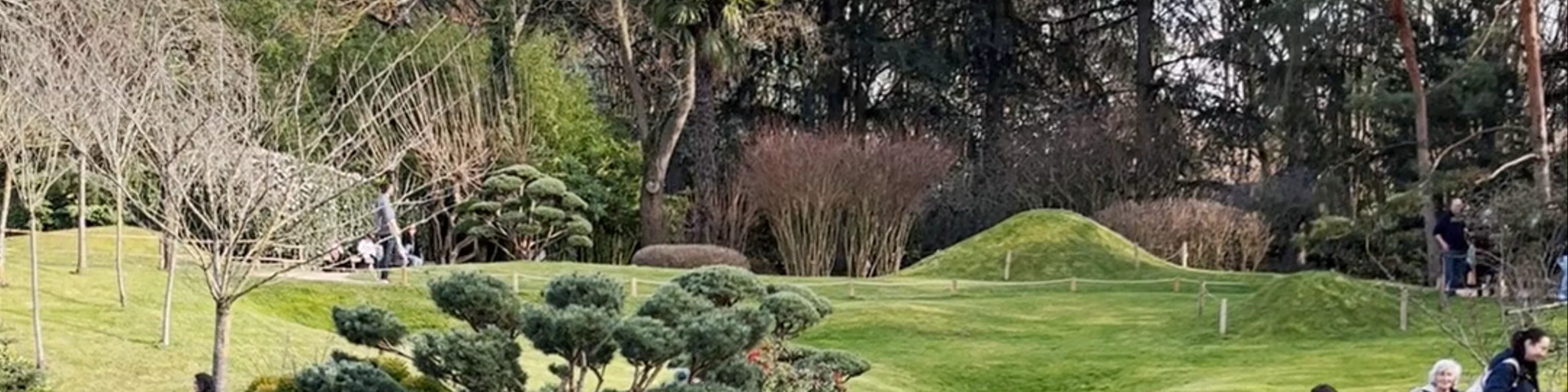 Pierre-Baudis Japanese Garden