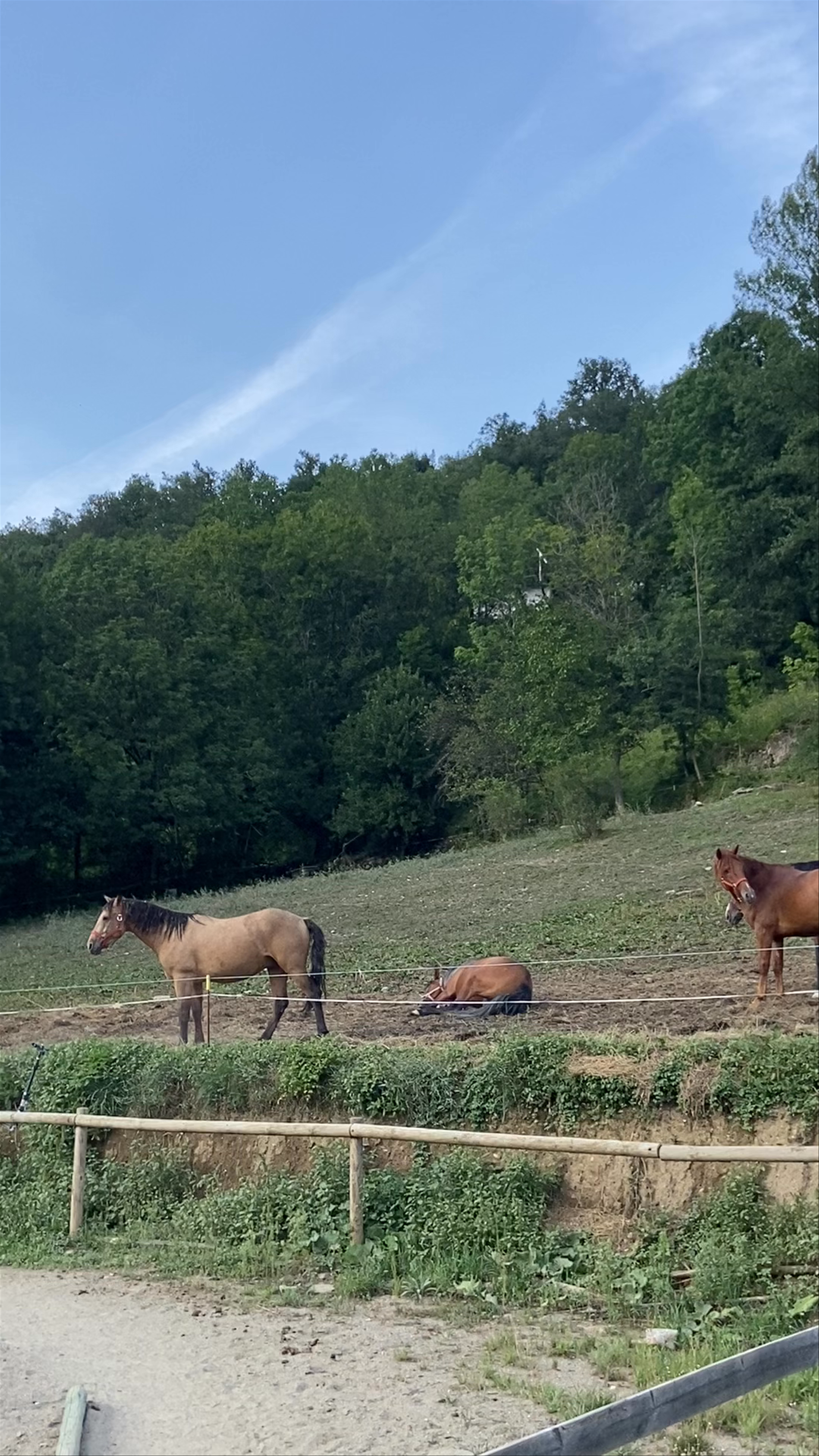 Centro Ecuestre La Barana