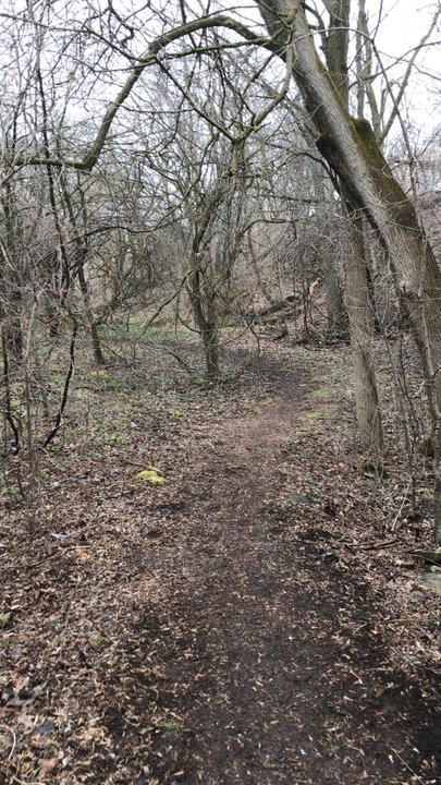 MacKay Wildlife Preserve - Trails - Hiking Near Me - Caledonia, New York