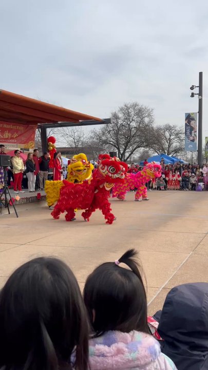 District56 - Lion dance 2.14.26 - Civic Center Near Me - Elk Grove, California
