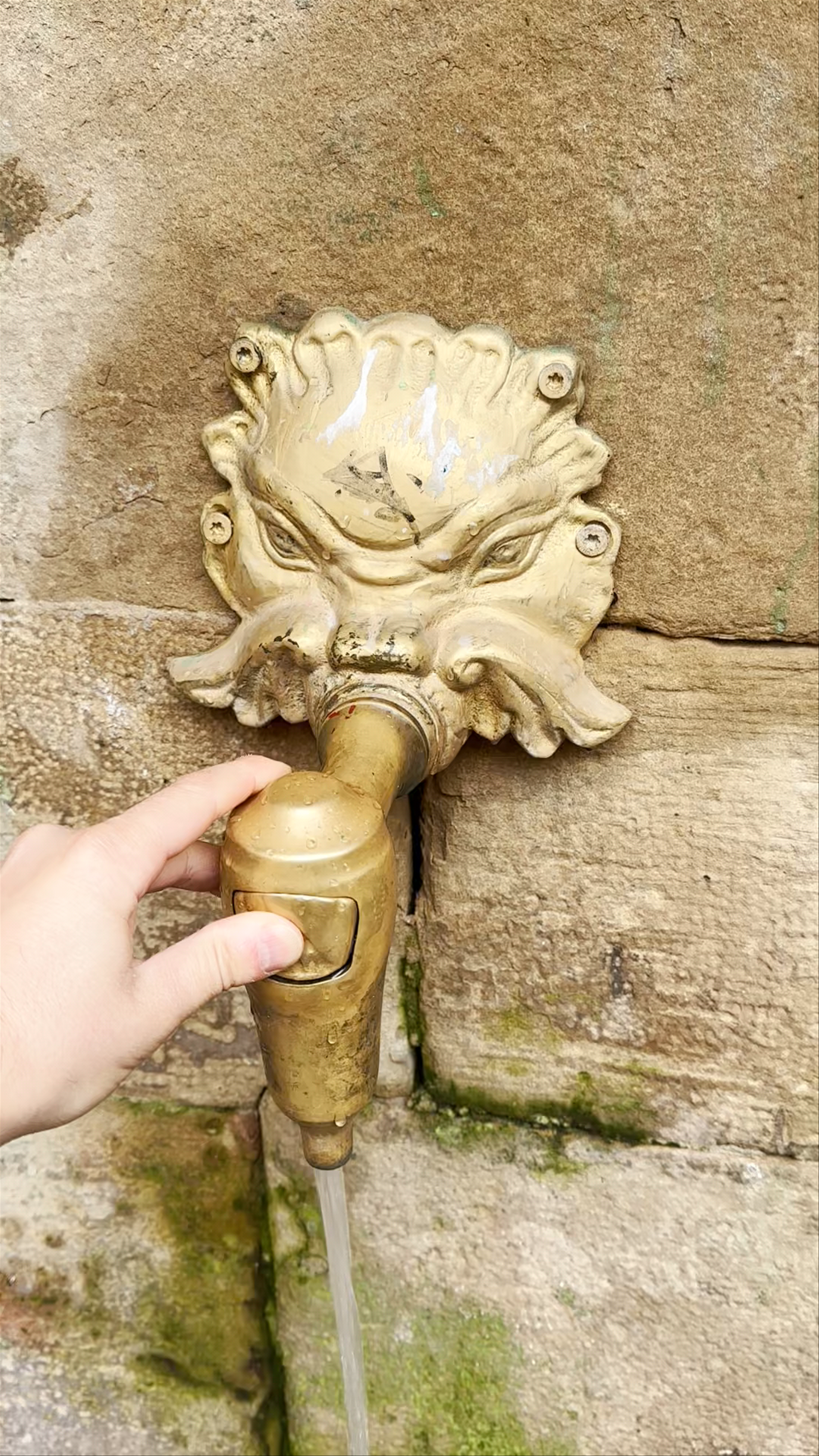 Fuente del Peregrino
