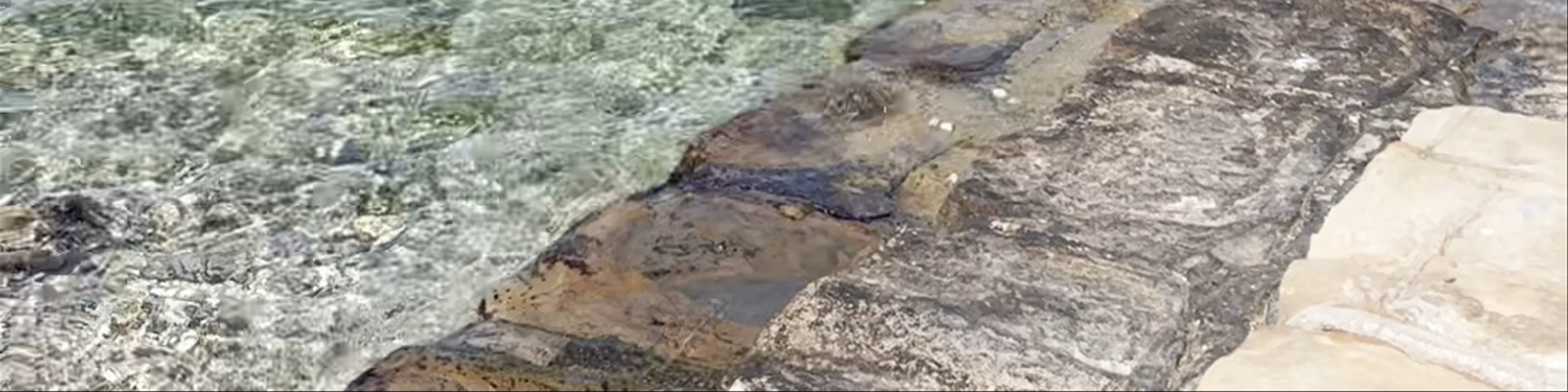 Plaža Žusterna