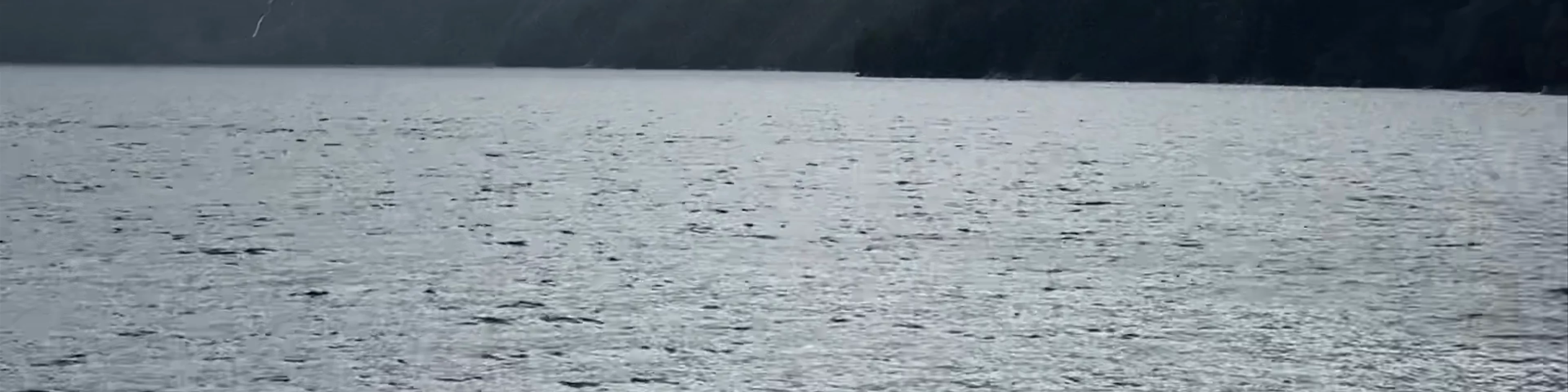 Milford Sound Passage