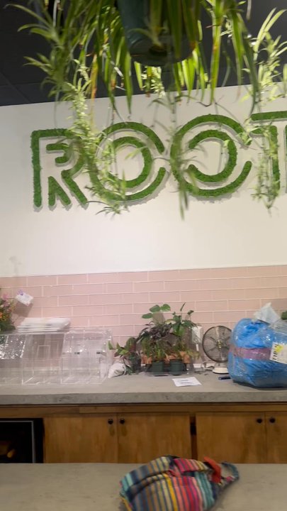 Roots Plant Exchange - Inside of ROOTS - Home & Garden Near Me - Salisbury, North Carolina
