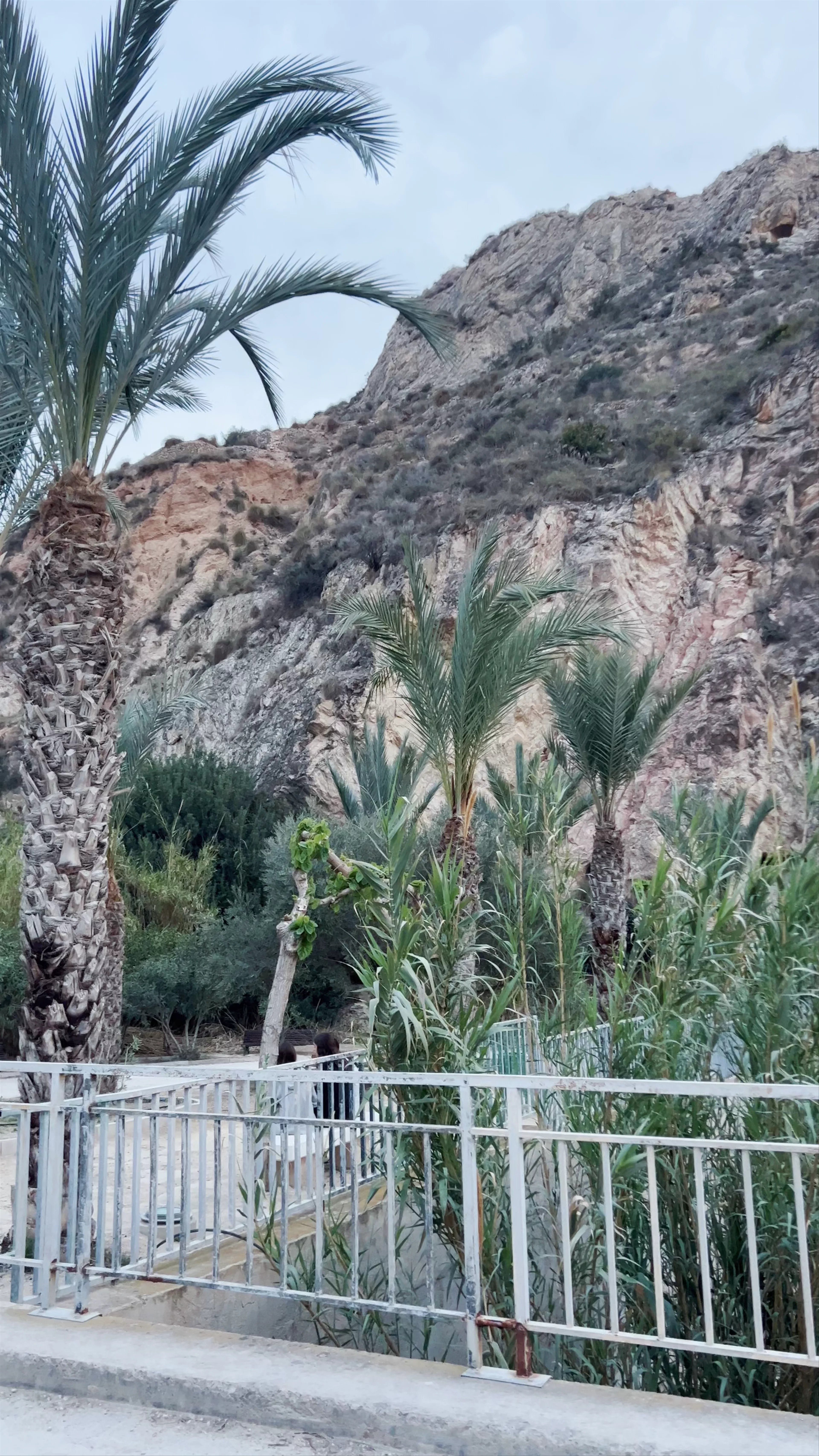 Fuente El chorro, Ojós, Spain