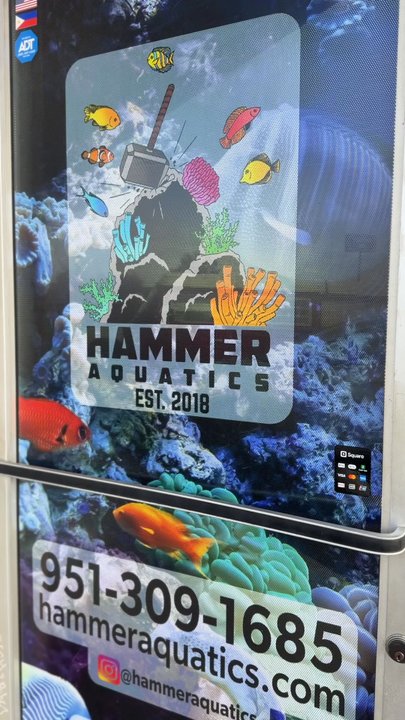 Hammer Aquatics - Aquarium Services Near Me - Menifee, California