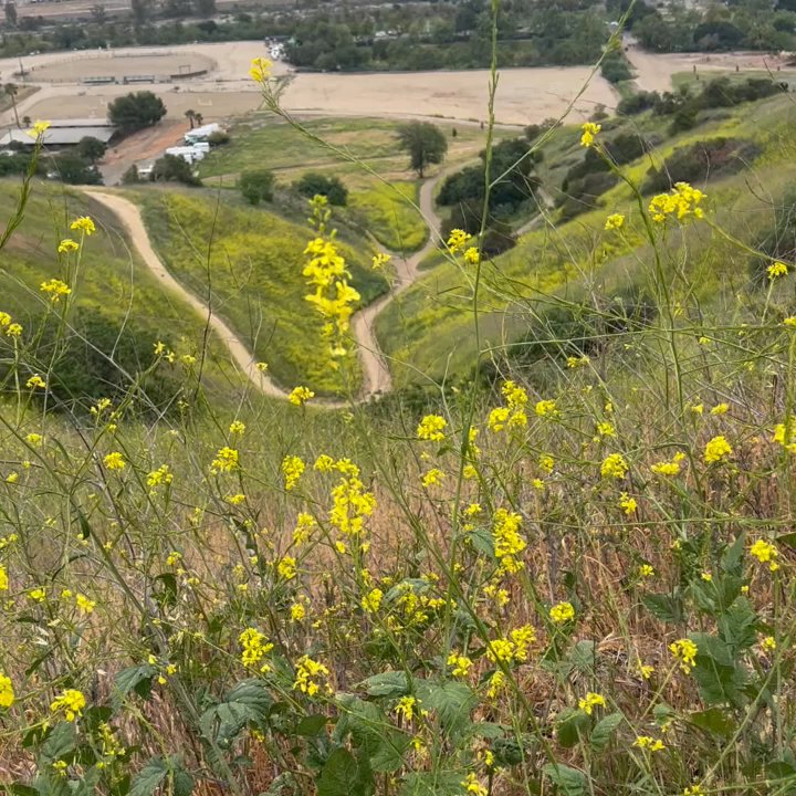 Horsethief Canyon Park - Parks Near Me - San Dimas, California