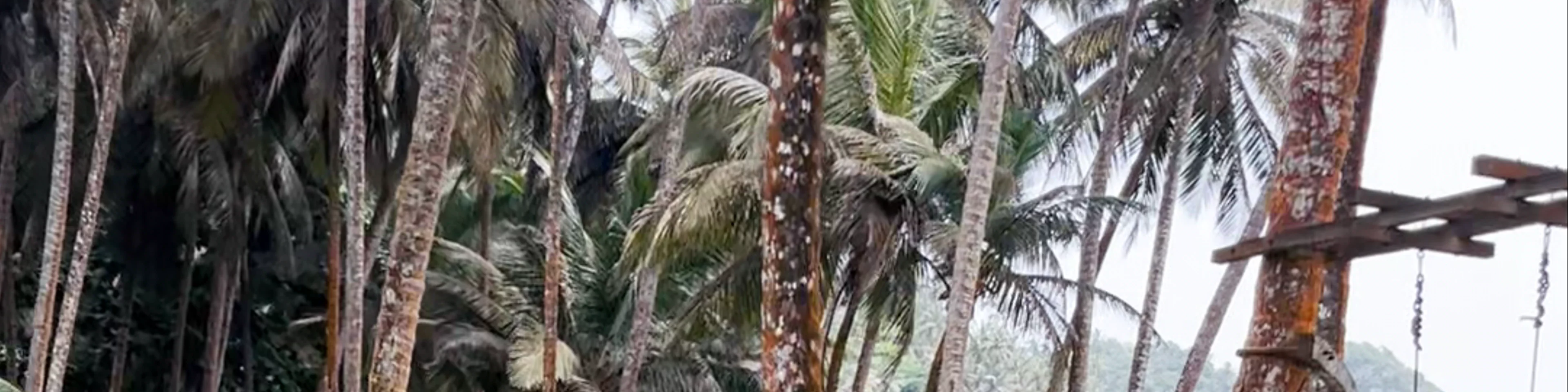 Tortue ecolodge