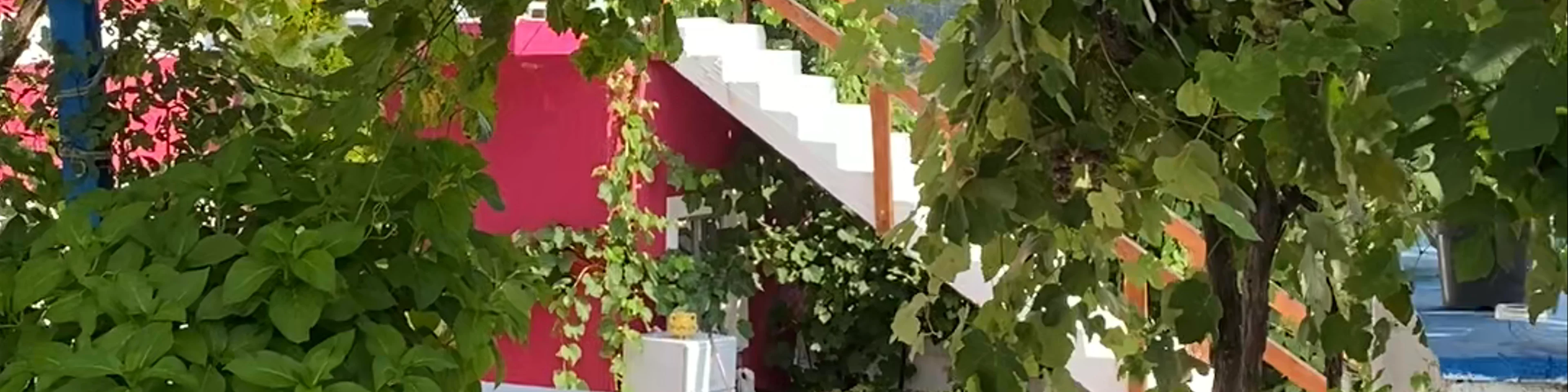 Guesthouse Superpanorama
