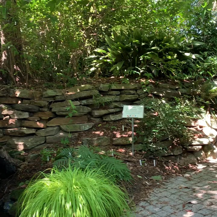 Juniper Level Botanic Garden - Grotto front garden - Botanical Gardens Near Me - Raleigh, North Carolina