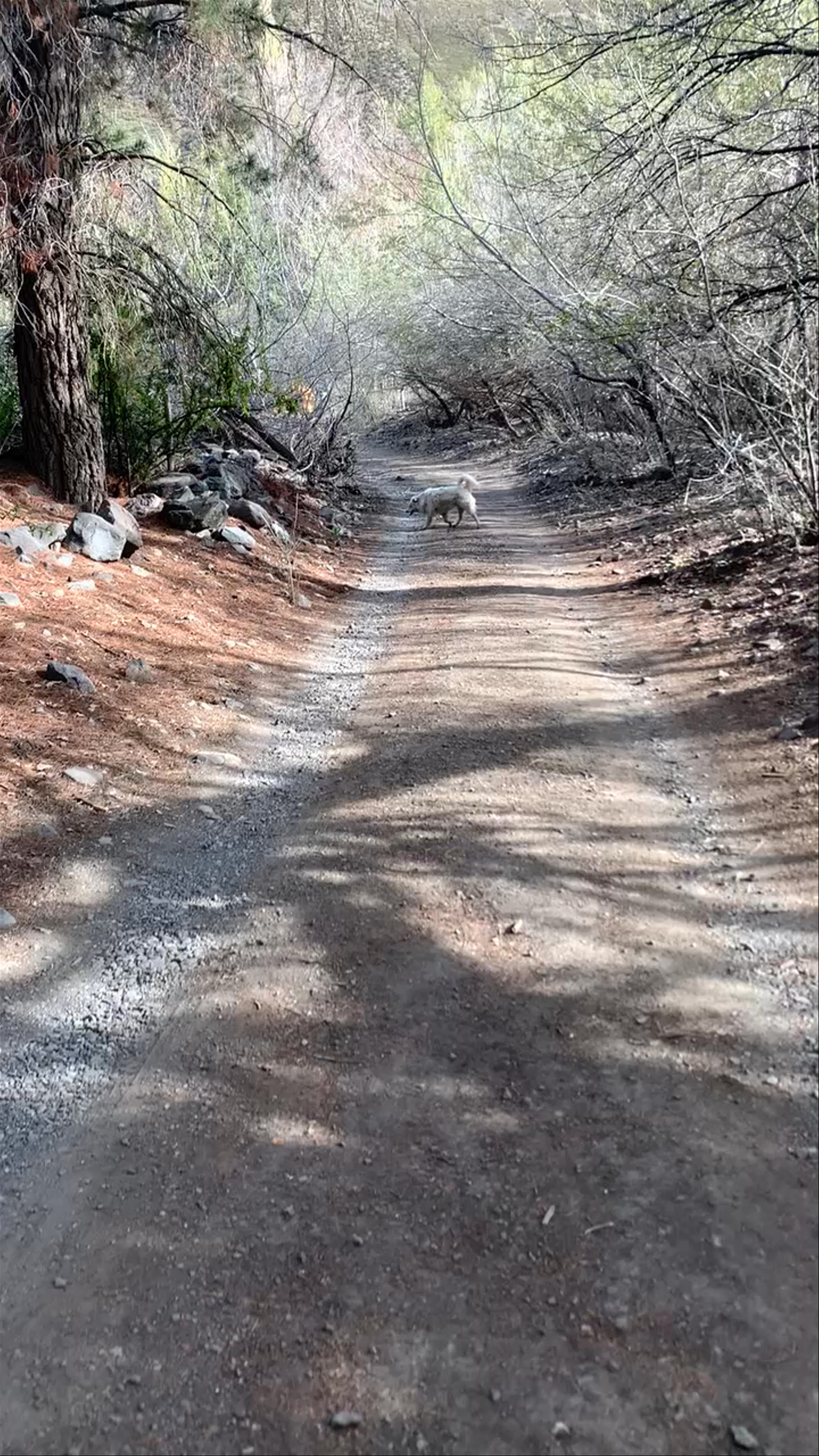 Hostal Refugio Lo Valdes - Camino Al Volcán