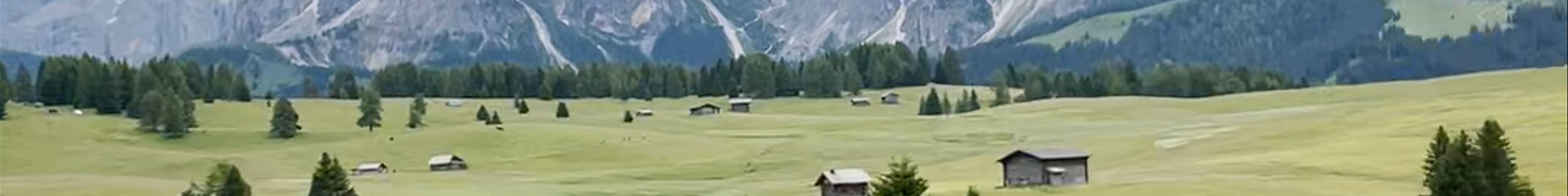 Tours & experiences in Bolzano