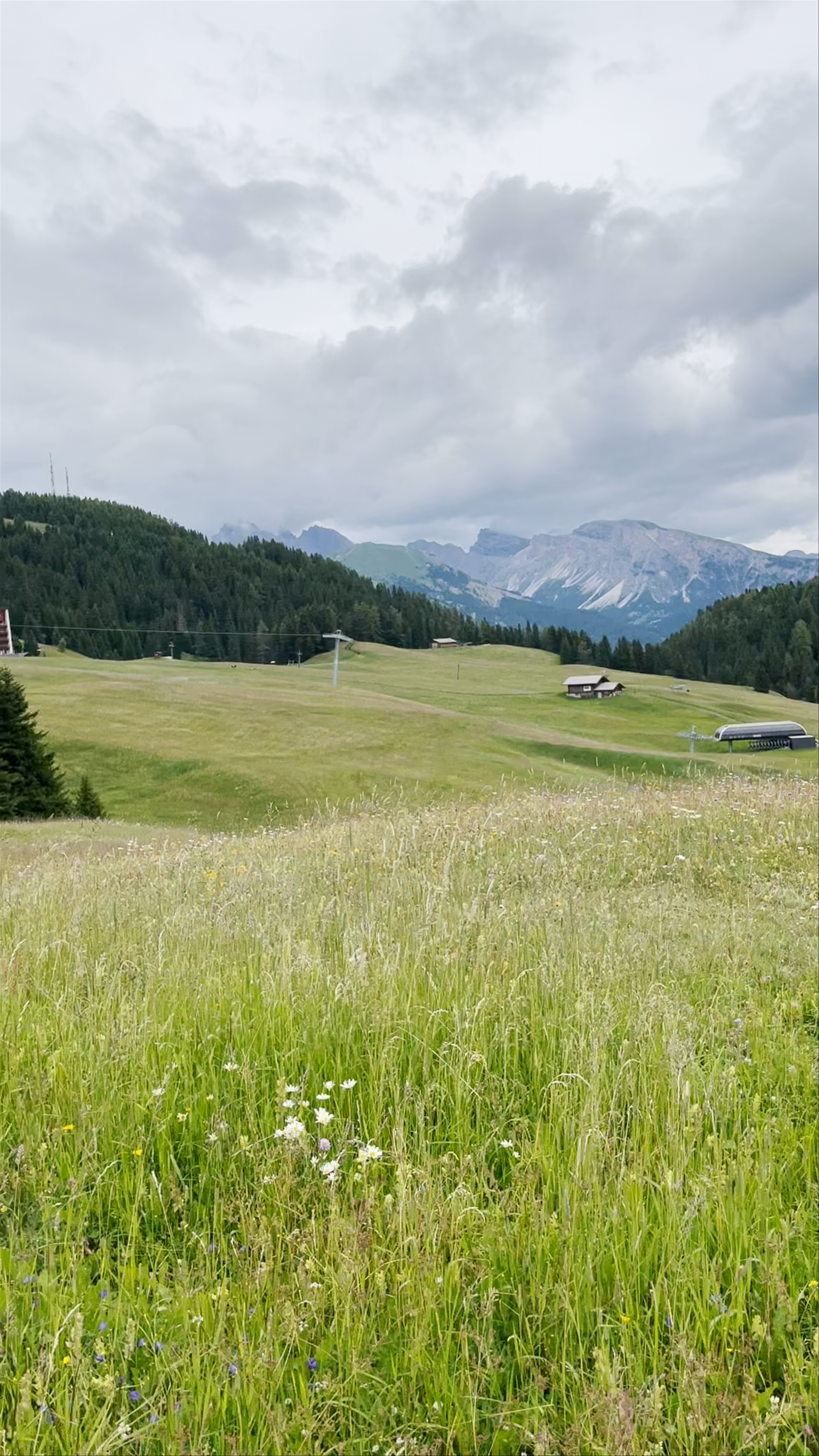 Alpe di Siusi: Majestic Meadows and Dolomite Views in Italy