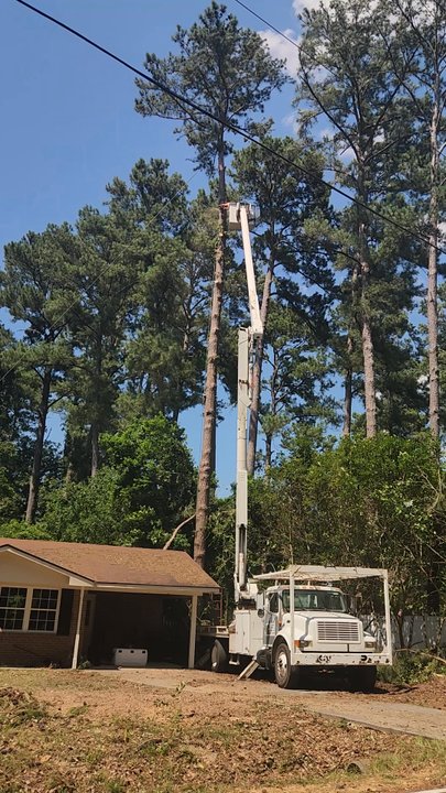 BLT Tree Service - Tree Services Near Me - Pooler, Georgia