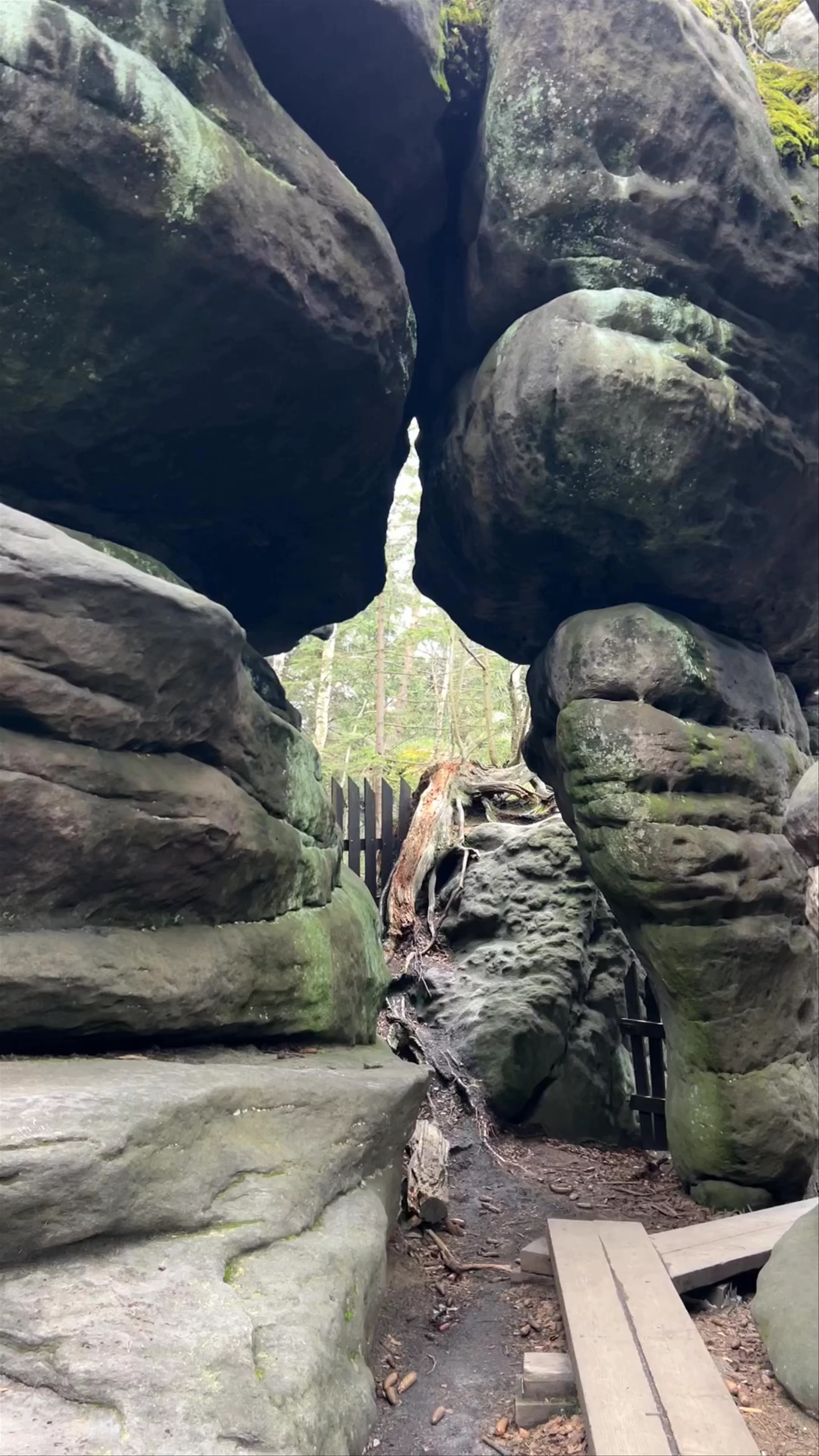 Errant Rocks, Kudowa-Zdrój