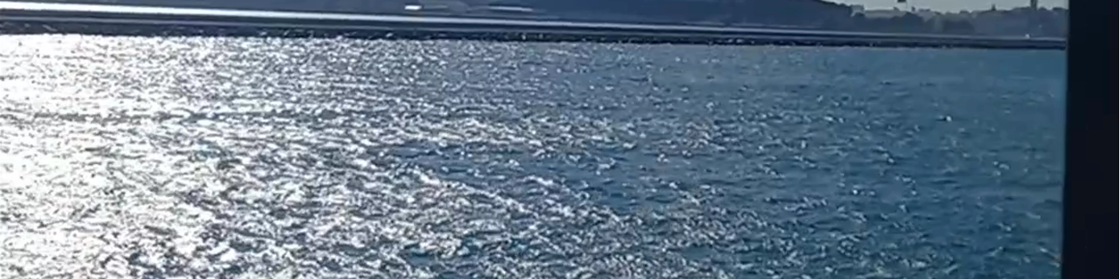 Sarıdemir