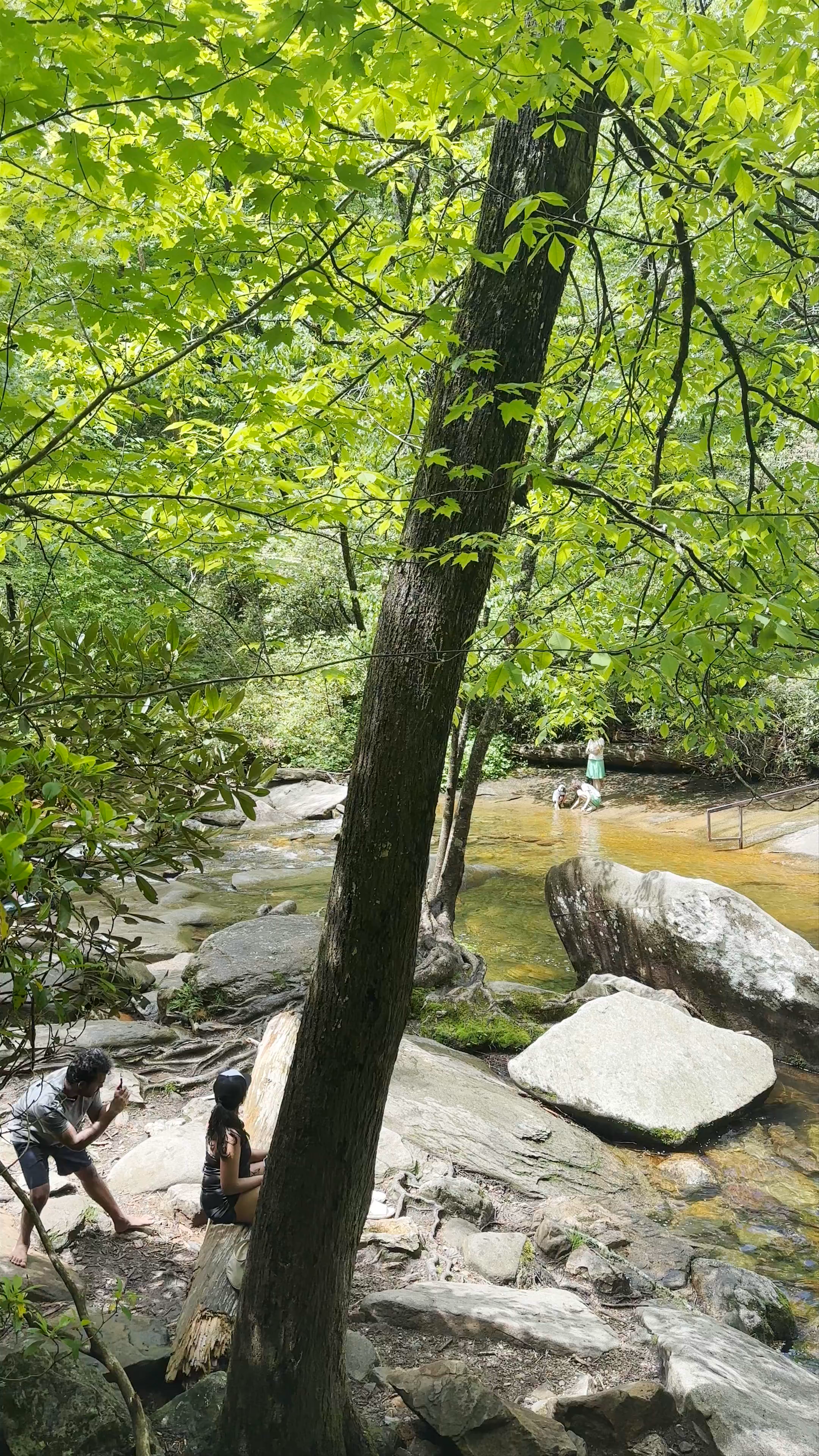 Sliding Rock Adventure: Natural Water Slide in Pisgah Forest, North Carolina