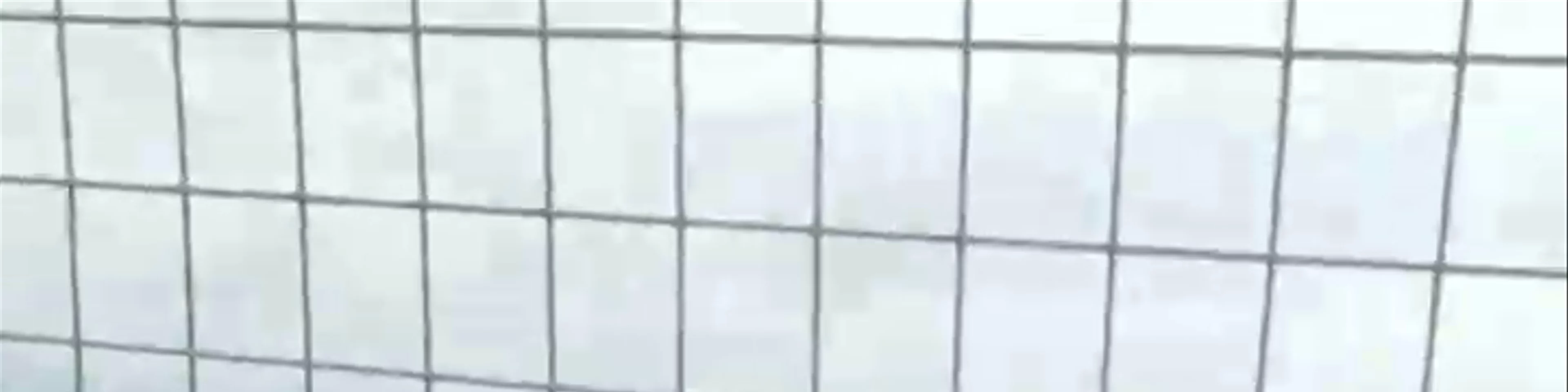 Leaning Tower of Pisa