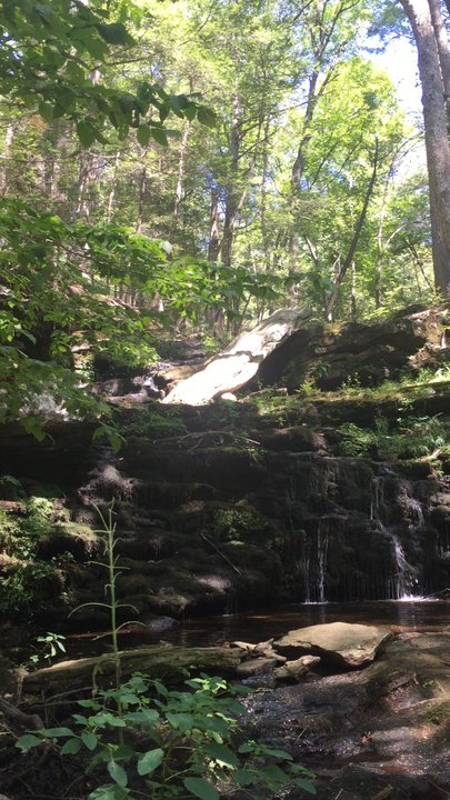 Salmon River State Forest - Parks Near Me - Colchester, Connecticut