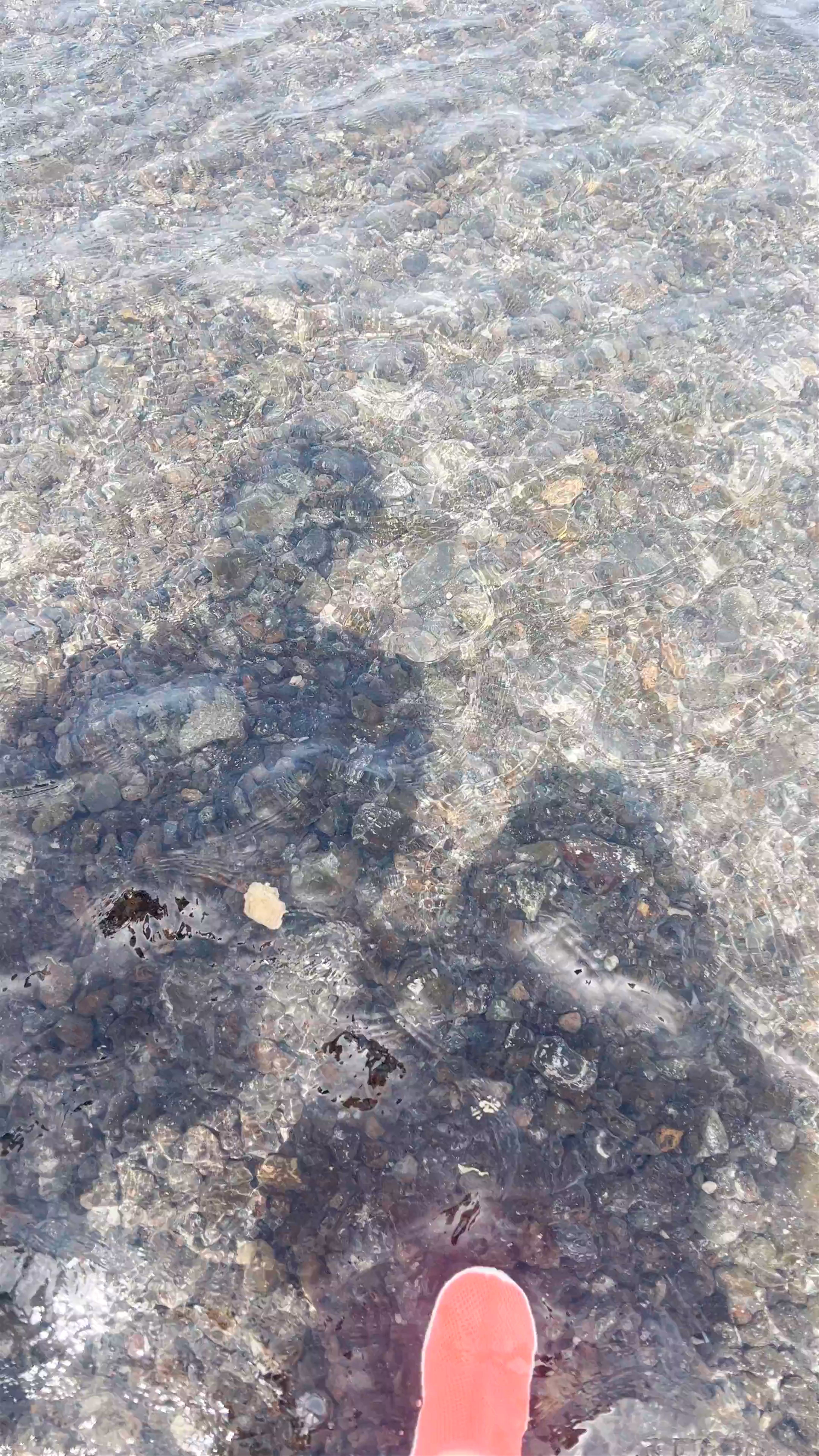Exploring the Shallow Waters of Shark Bay, Feijoal, Cabo Verde