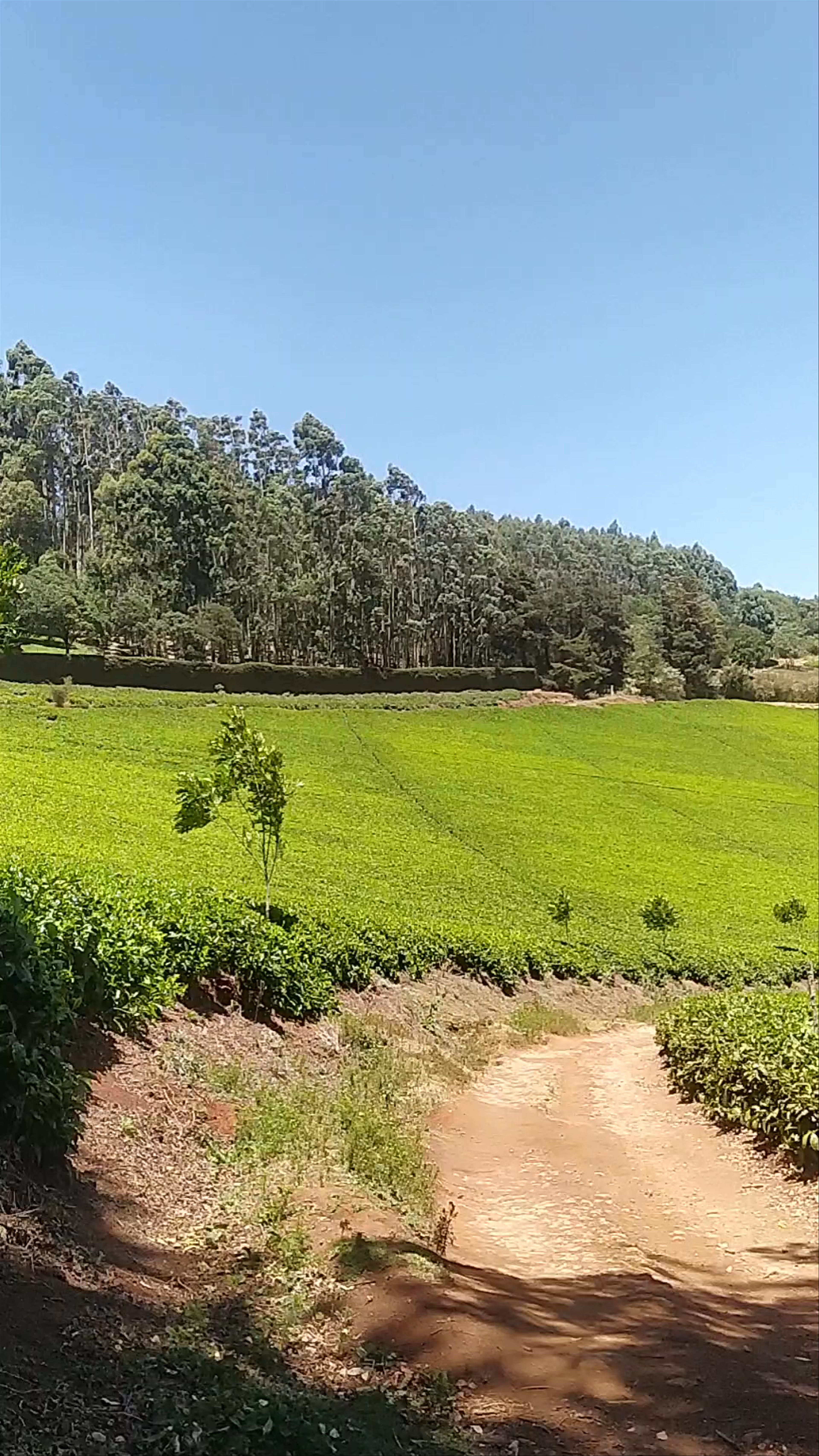 Brackenhurst Conference and Retreat Centre