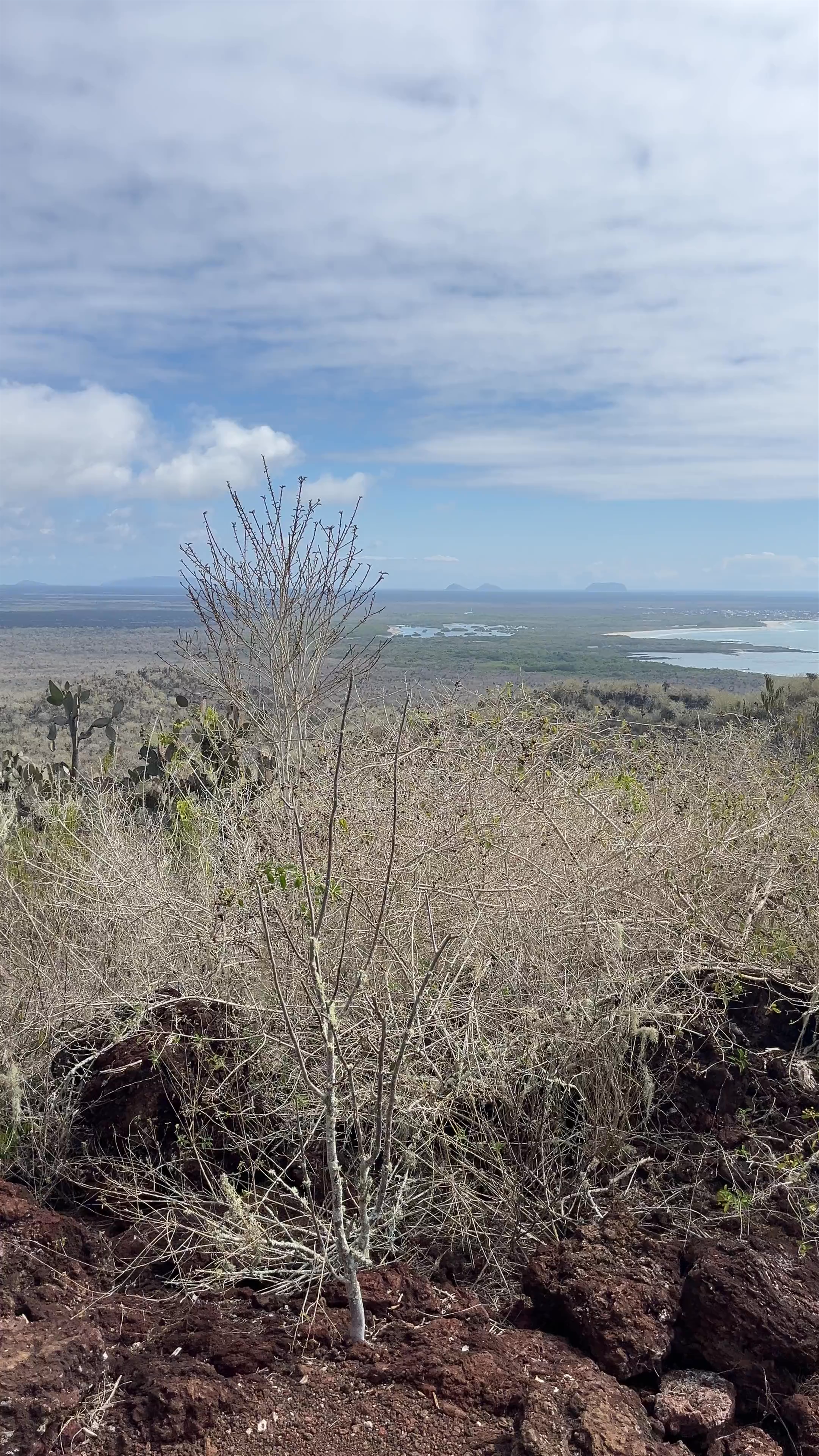 Mirador de la Bahía