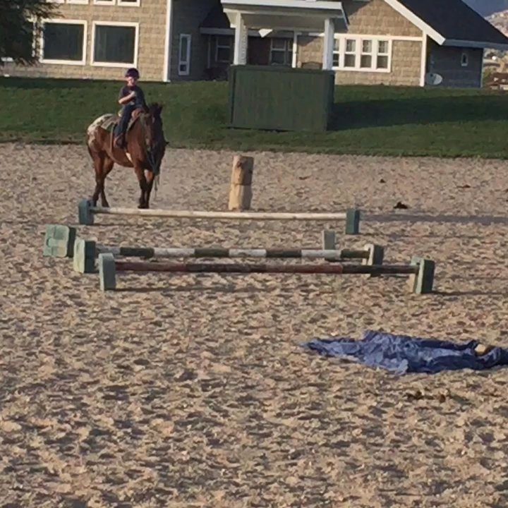 Sage Creek Equestrian - Life long lessons - Horseback Riding Near Me - Heber City, Utah