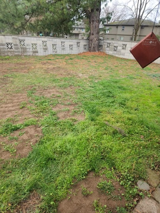 Farrow Landscape - This is the yard now. He did such a fabulous job - Landscaping Near Me