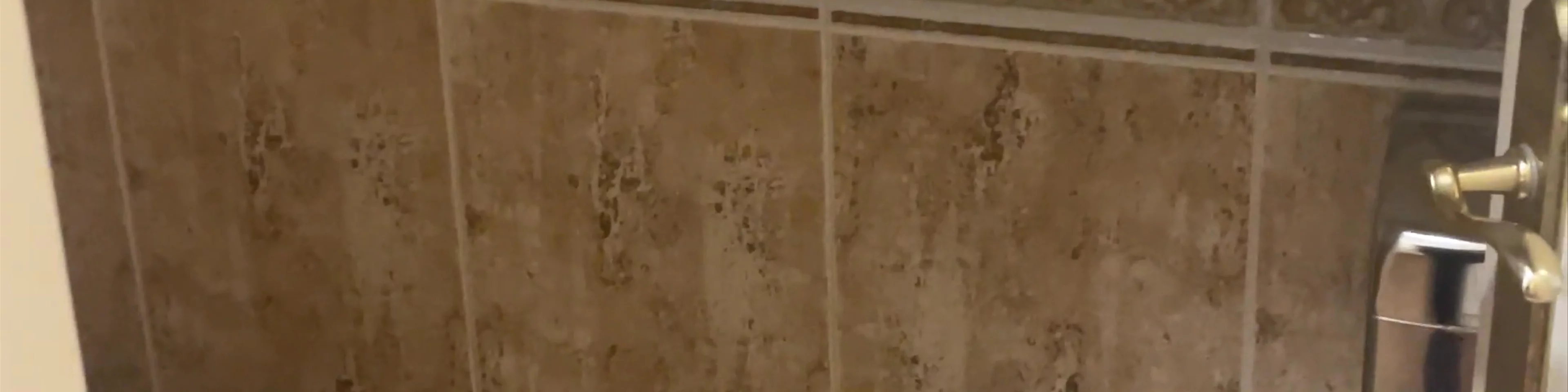 Albergue Zaldiko