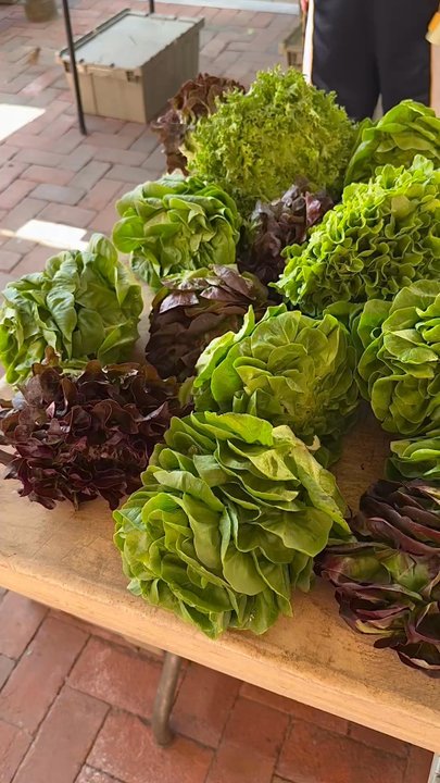 Eastern Market - Public Markets Near Me - Washington, DC, District of Columbia