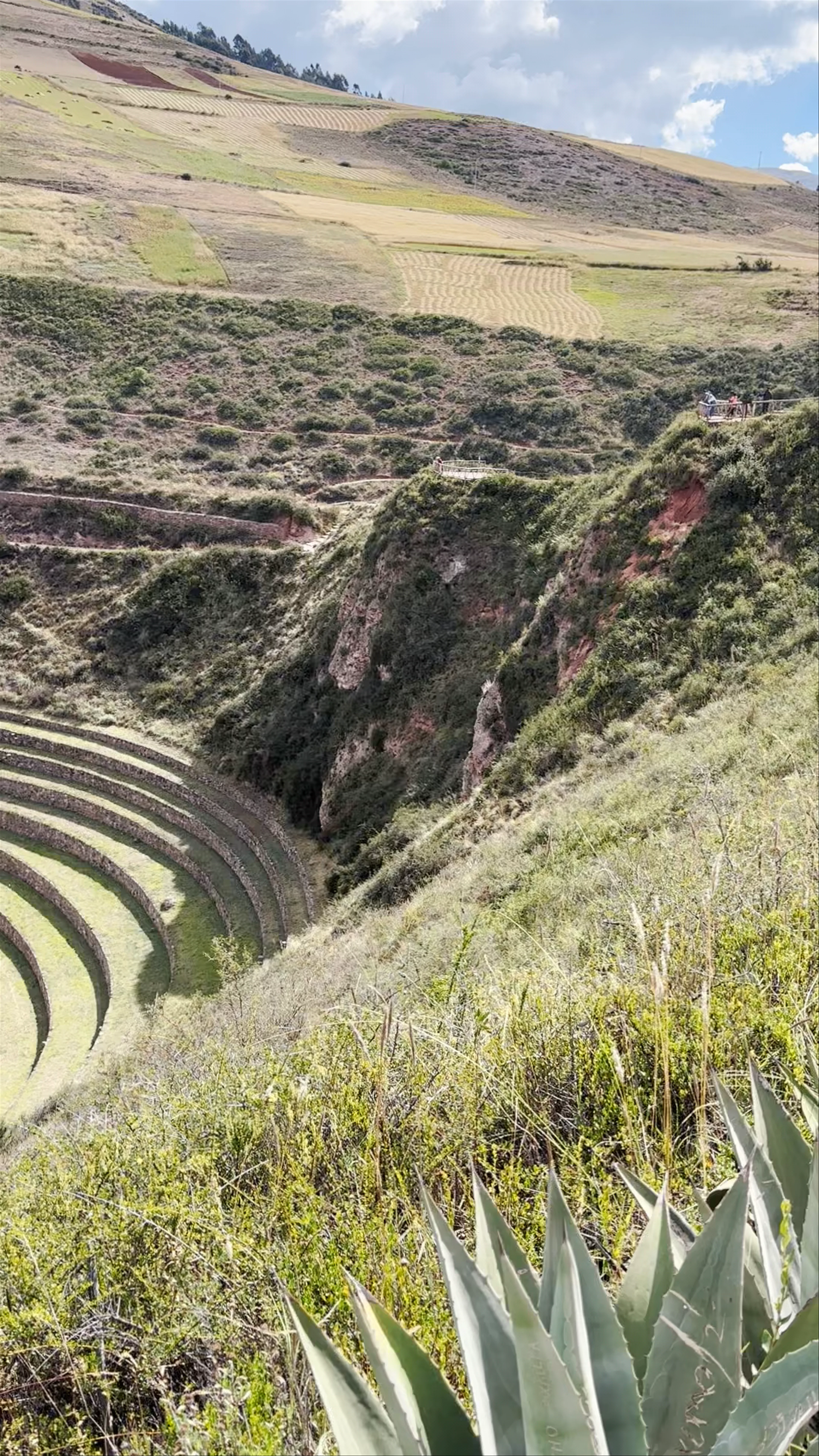 Moray, Maras