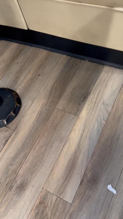 Eggs N Things - Giant rat droppings on the ground as well. - Breakfast & Brunch Near Me - Simi Valley, California