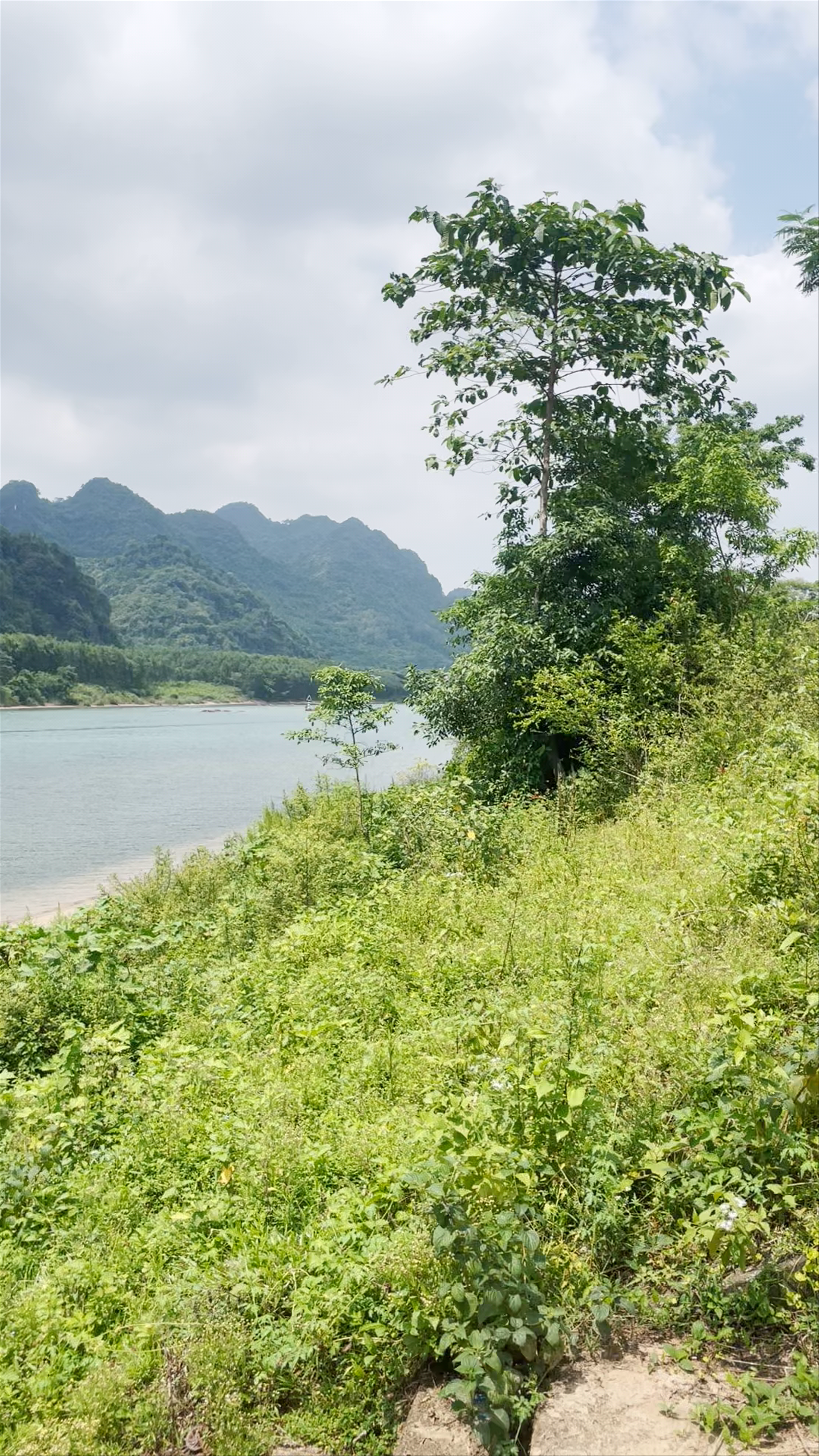 Trạm Dừng Nghỉ Phong Nha