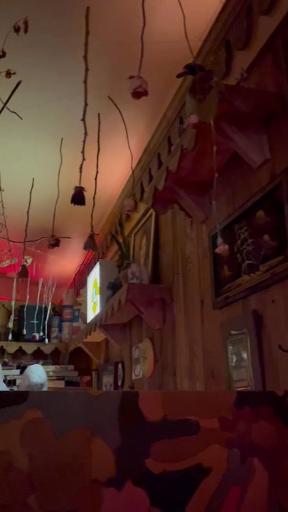 Tina's - the ceiling decor - Bars Near Me - Pittsburgh, Pennsylvania