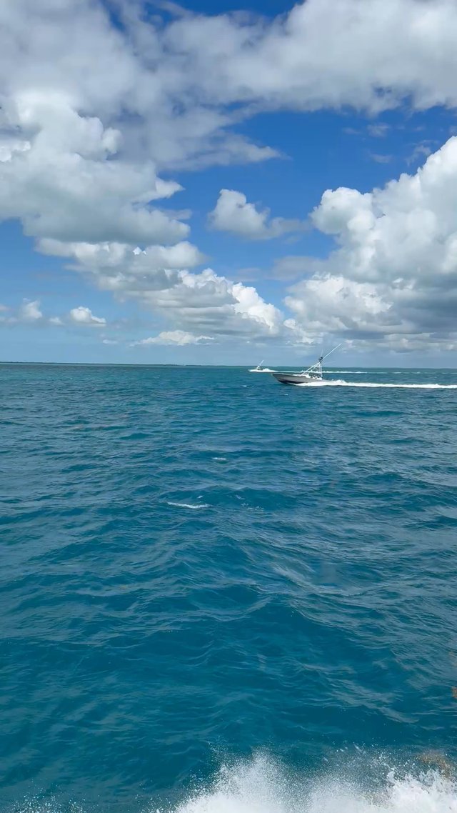 64’C racing a V55 & V46