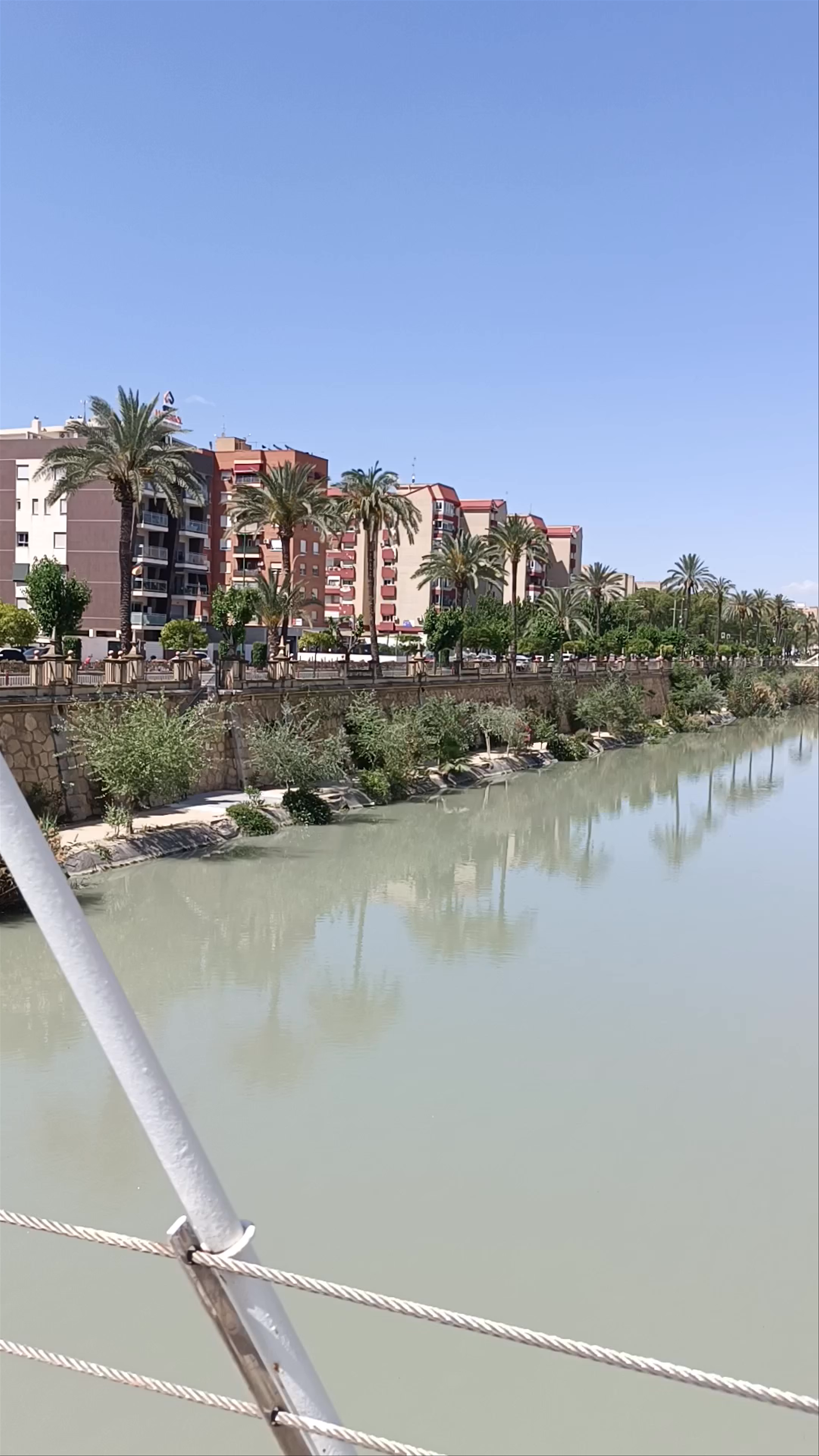 Río Segura: Serene Riverside Views in Spain