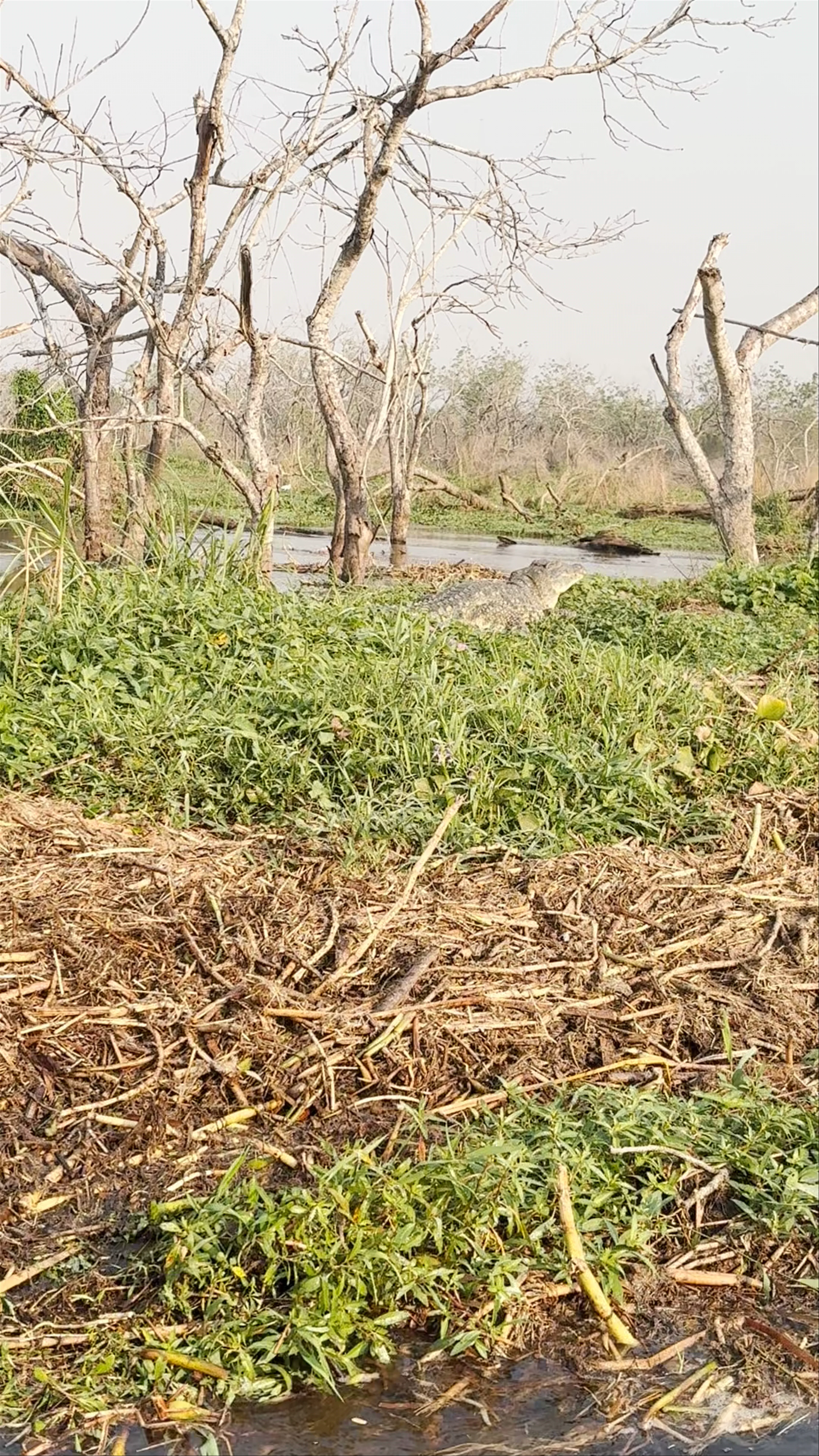 Mooring Site, Fajao