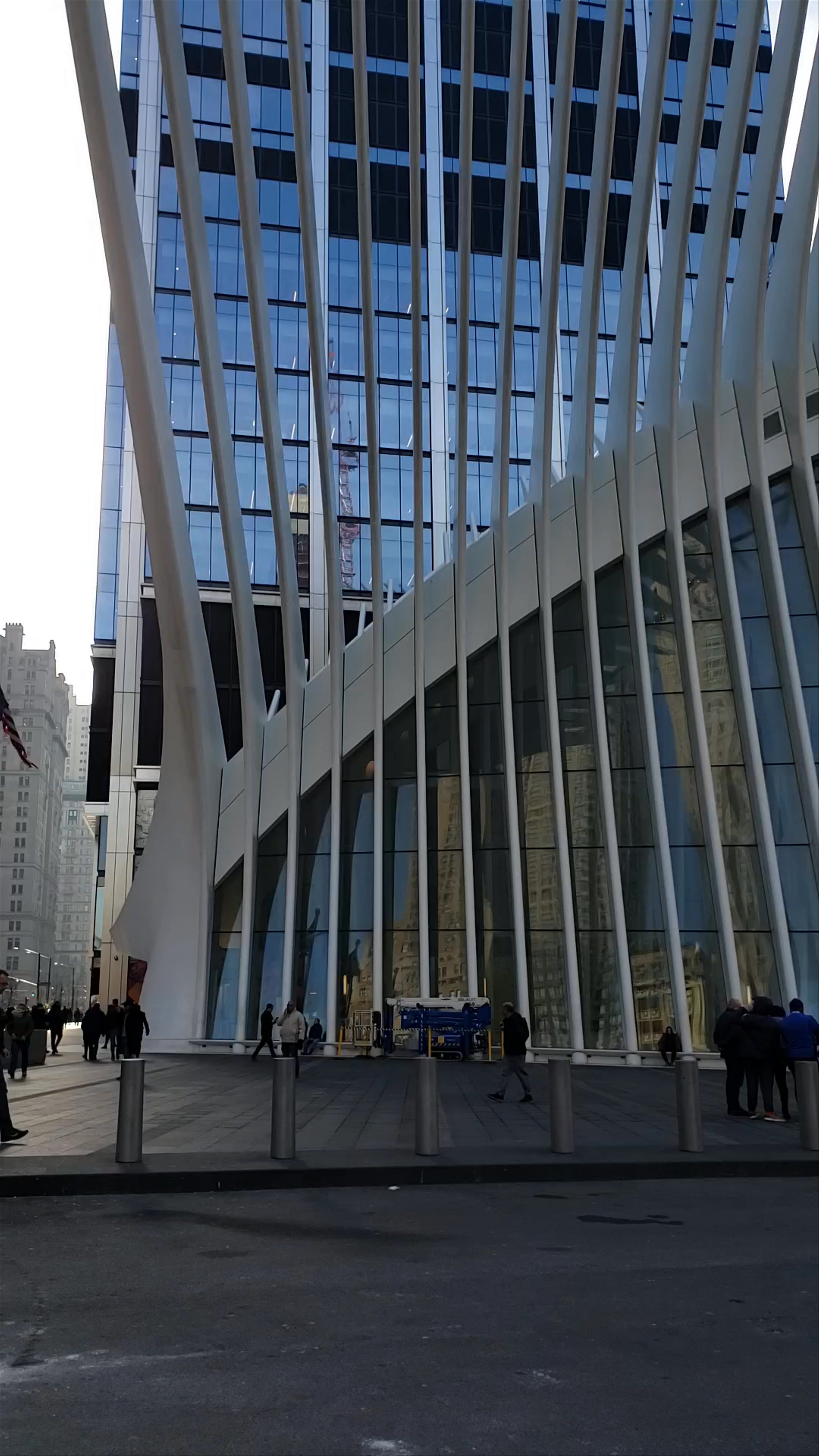 Exploring the Oculus: New York’s Futuristic Transit Hub